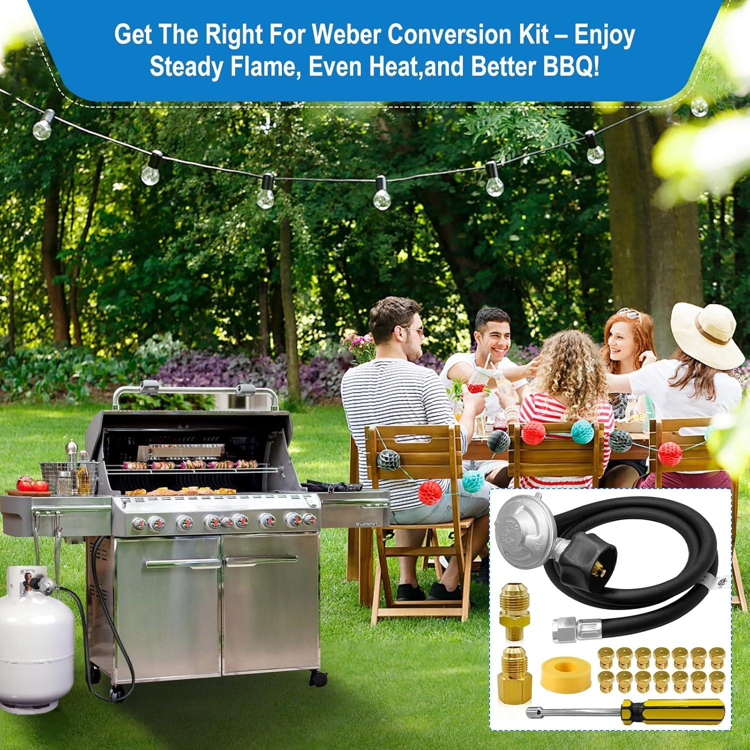 Kit de Conversión Gas Natural a Propano FJXBYWM para Weber