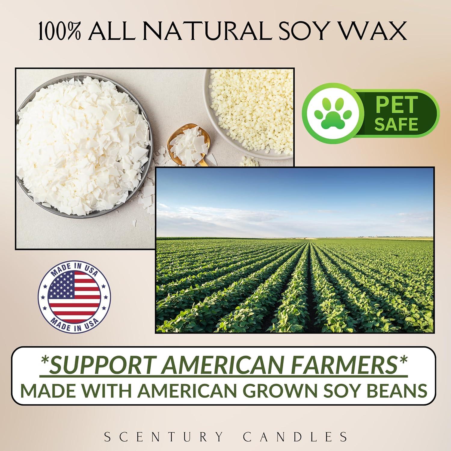 Velas Aromáticas Scentury Aloha 100% Cera de Soja 450g