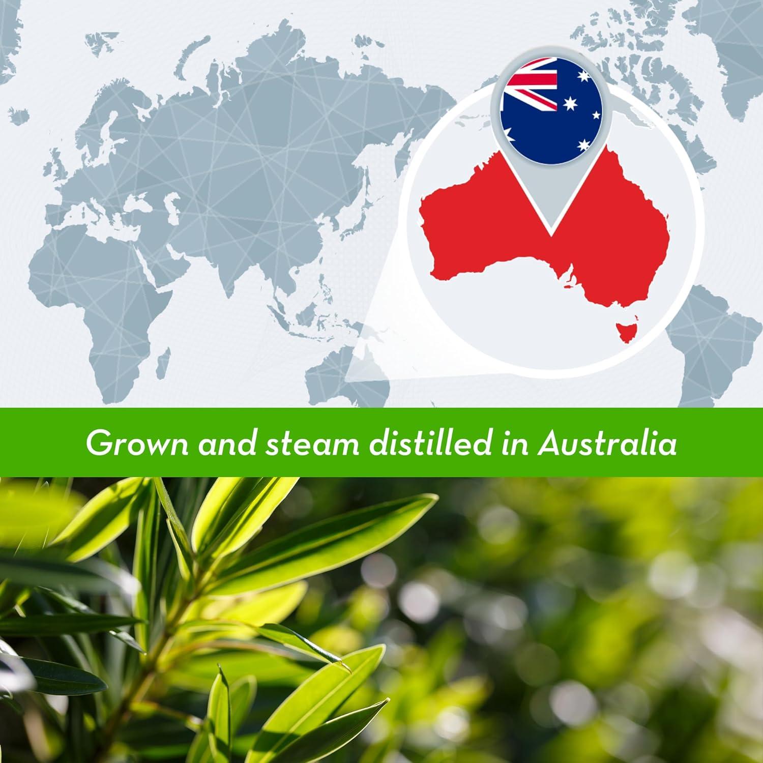 Aceite de Árbol de Té 100% Puro DIYBeauty 118 ml - Orgánico