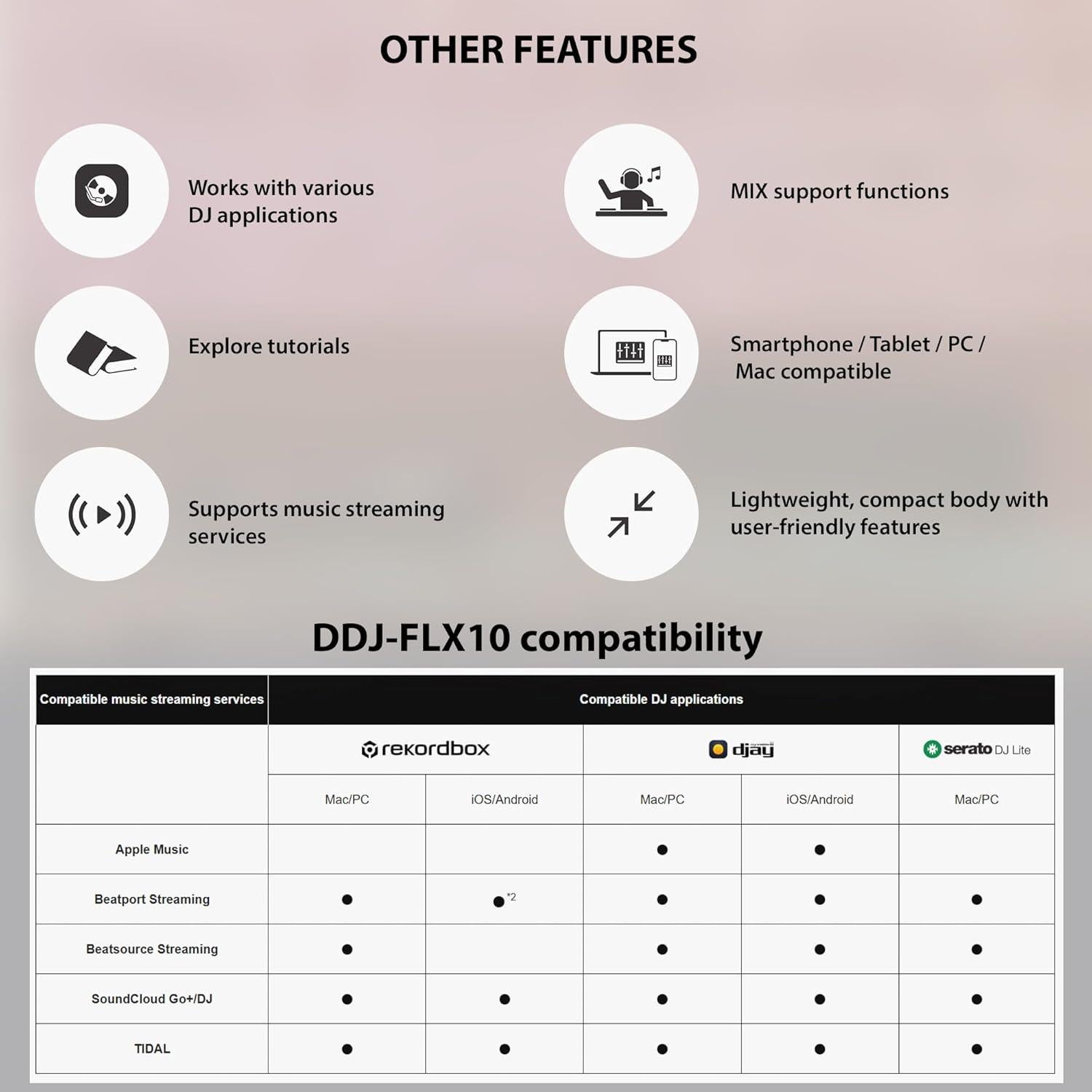 Controlador DJ Pioneer DDJ-FLX2 Compacto 2 Canales con Estuche