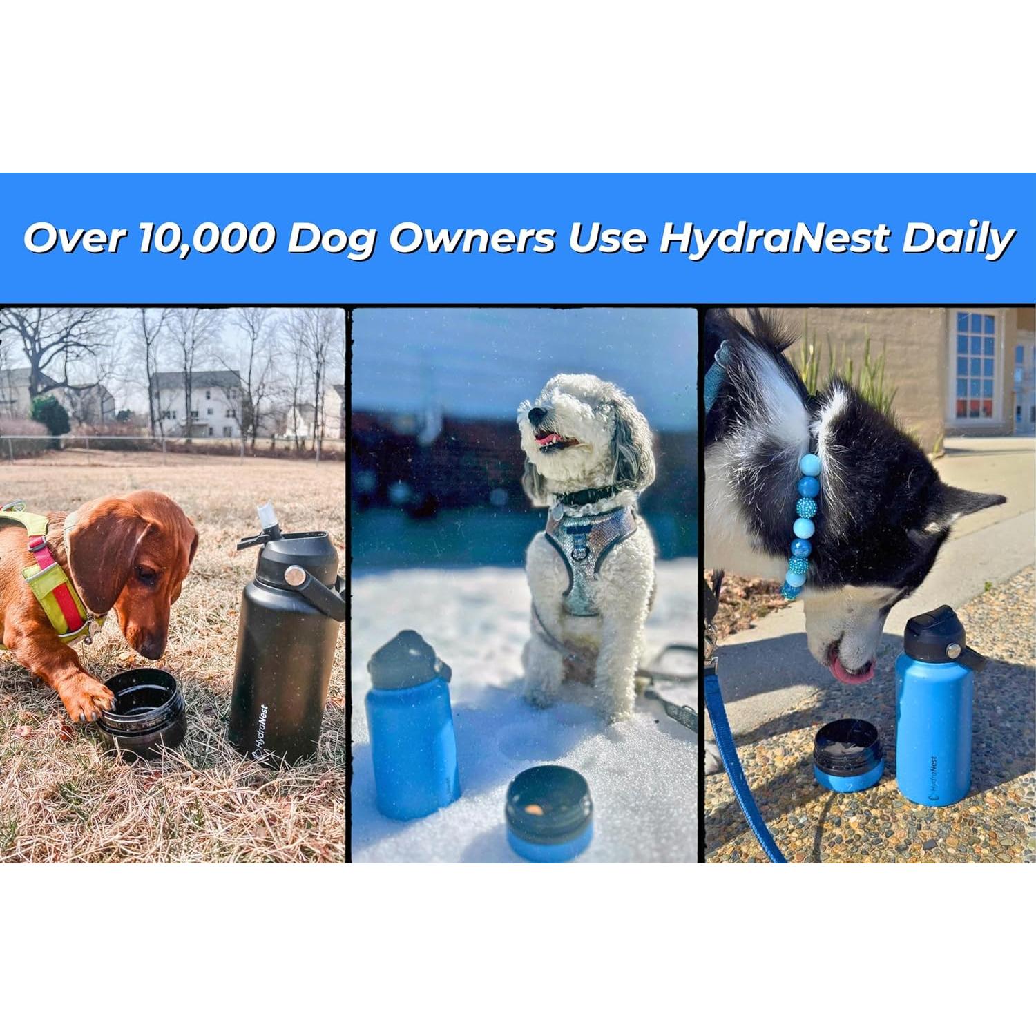 Botella de Agua Aislada HydraNest 0.82L para Perros - Acero Inoxidable