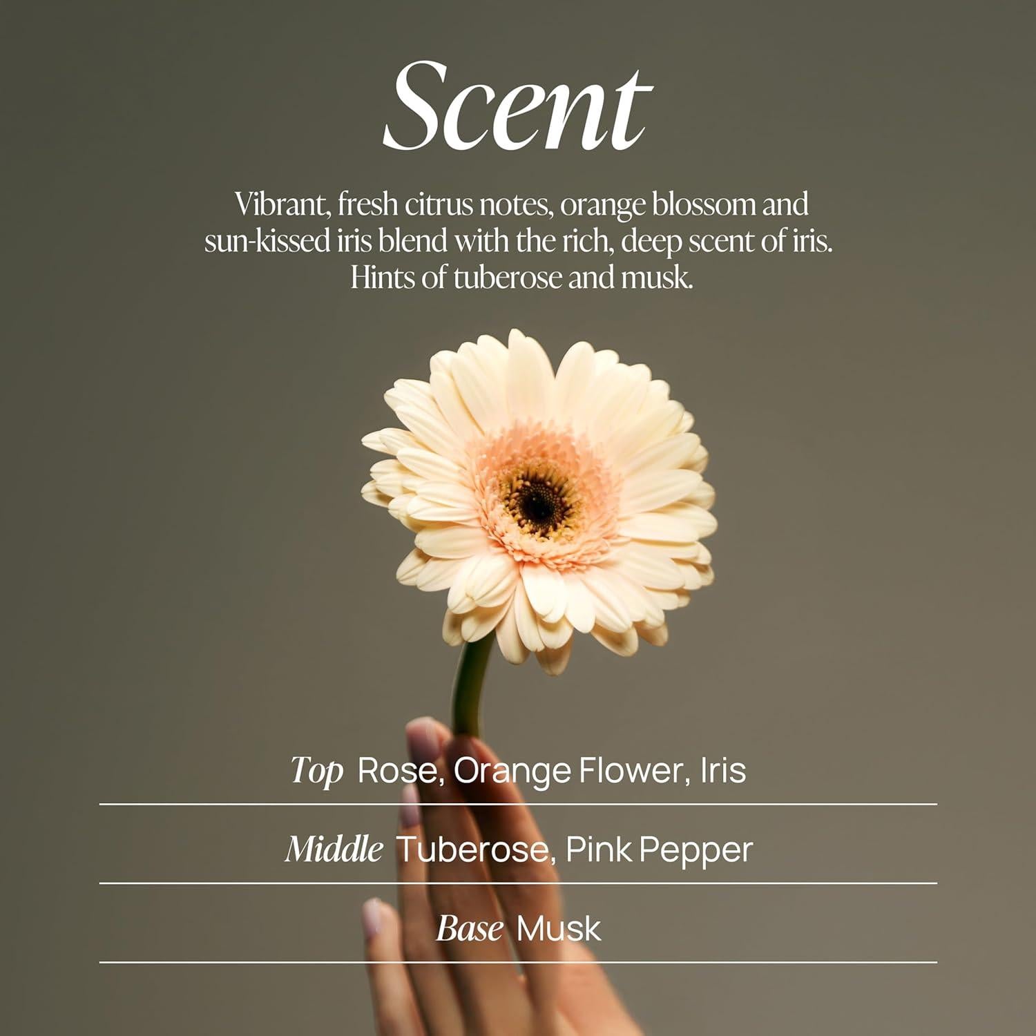 Gel de Ducha Espumoso VOYAGER 300ml Rosa Hidratante