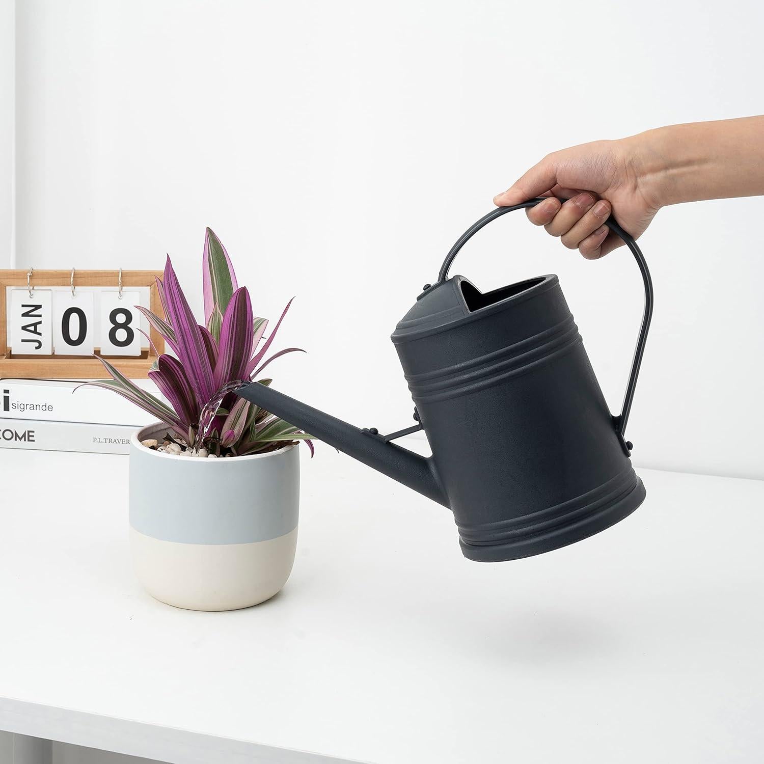 Regadera de Plástico Tennedriv Green 2.0 L para Interiores