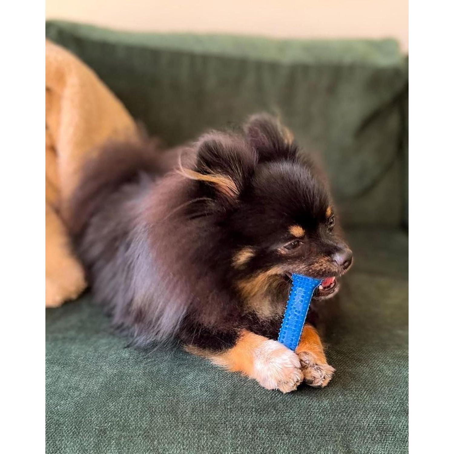 Juguete Dental Nylabone Flexi Chew Sabor Pollo Pequeño