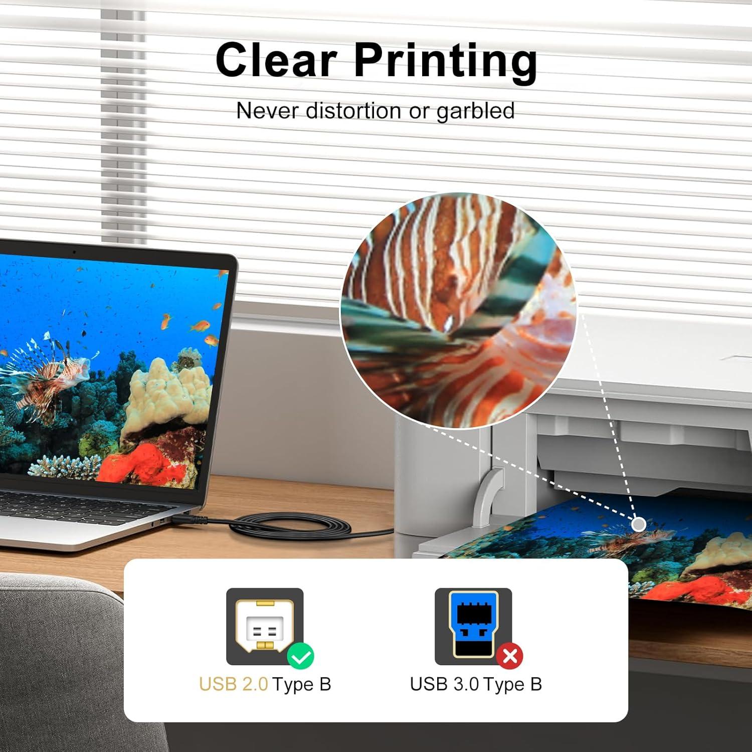 Cable USB 2.0 A a B 1.83 m HP Canon Brother Epson