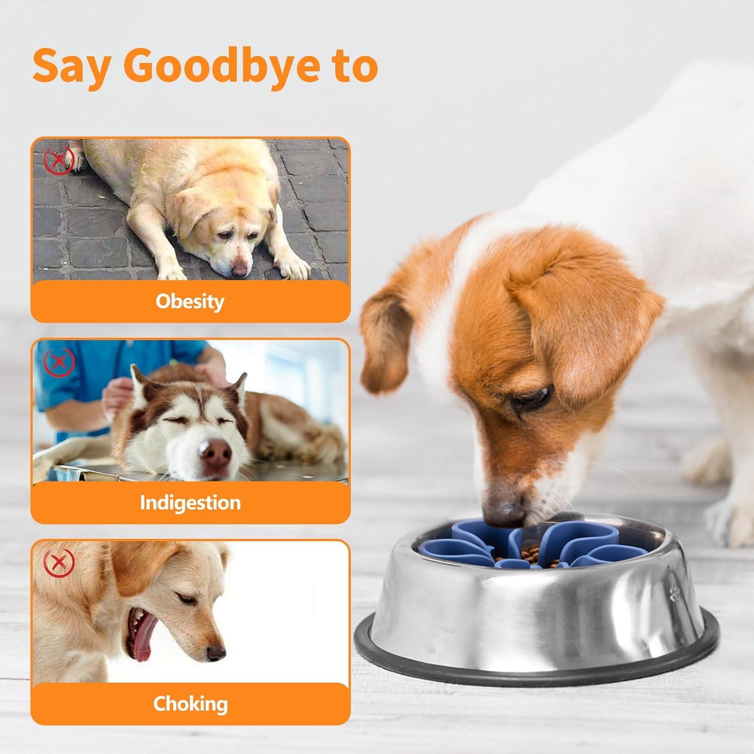 Inserto de Silicona para Tazón de Perro Alimentación Lenta S Azul