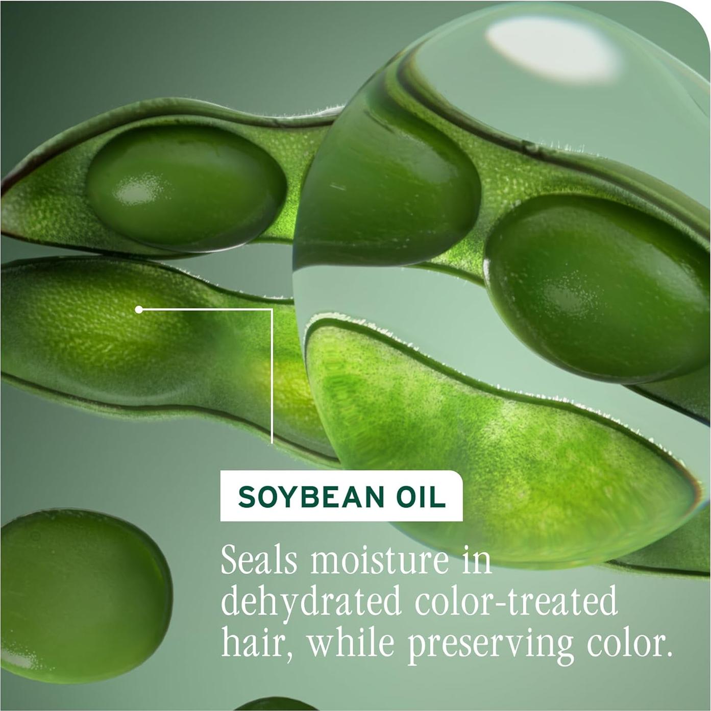 Conjunto Champú y Acondicionador Biolage Color Last 400ml x2 - Protege Cabello Tratado