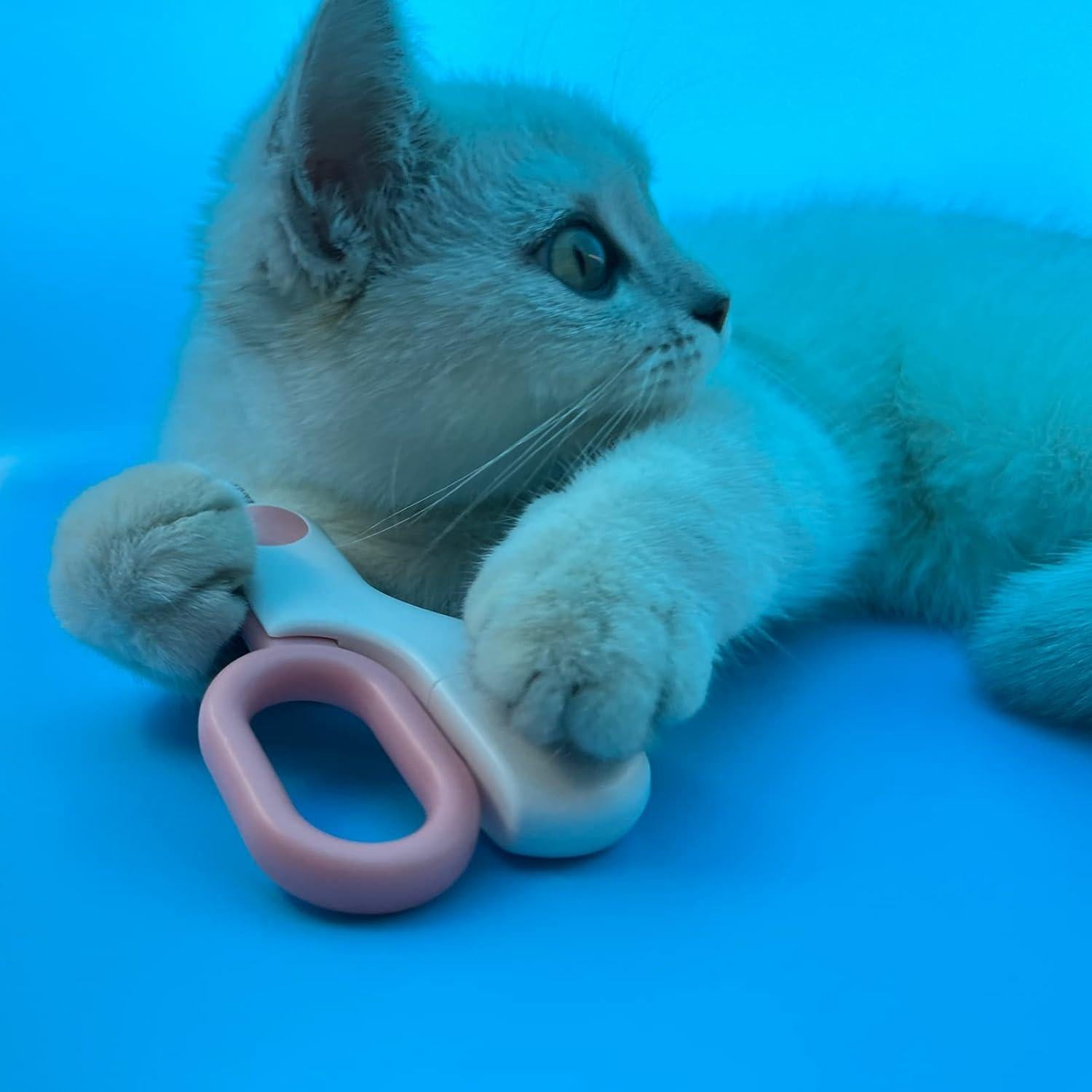 Cortauñas para Mascotas GuLuGun LED Azul - Cuchillas Afiladas