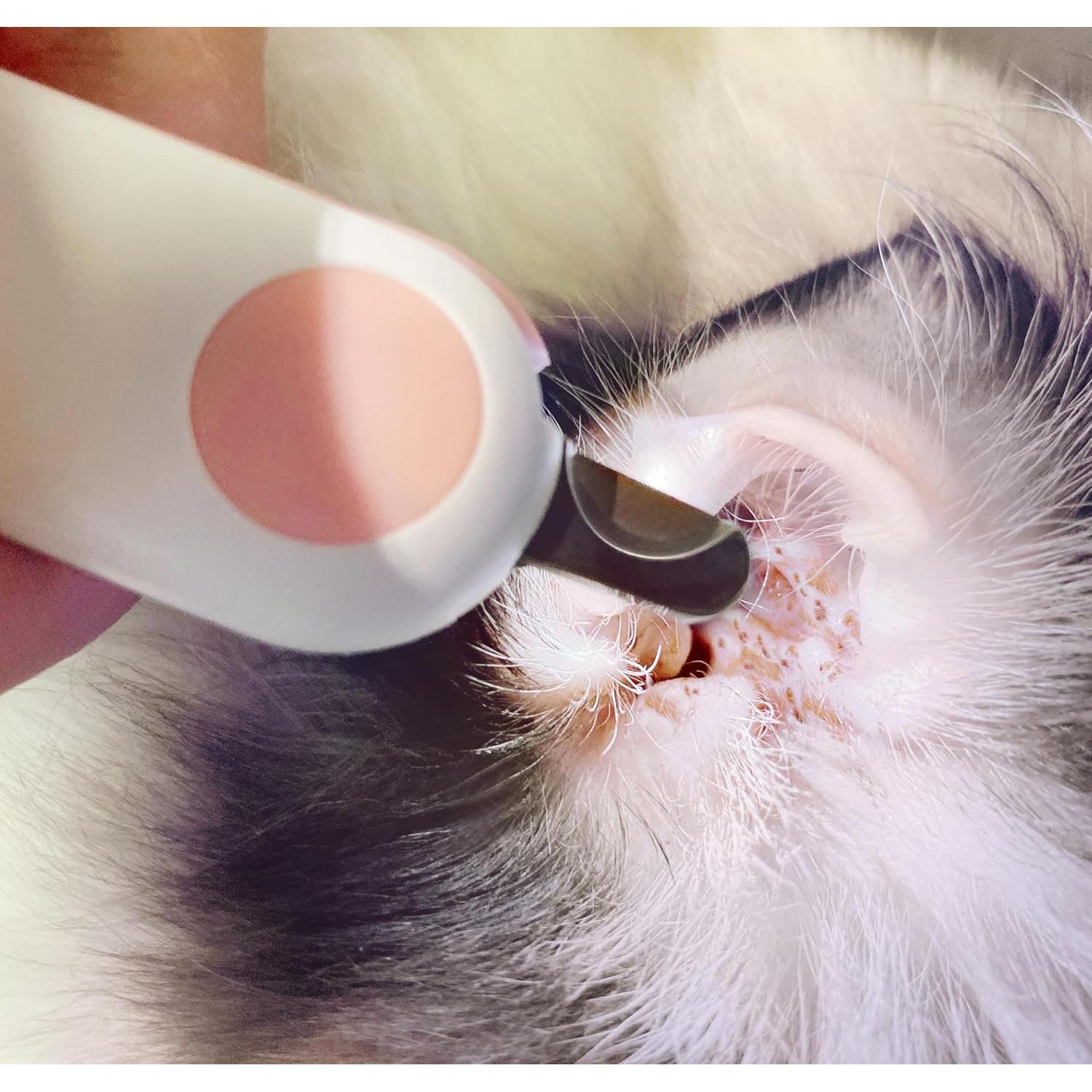 Cortauñas para Mascotas GuLuGun LED Azul - Cuchillas Afiladas