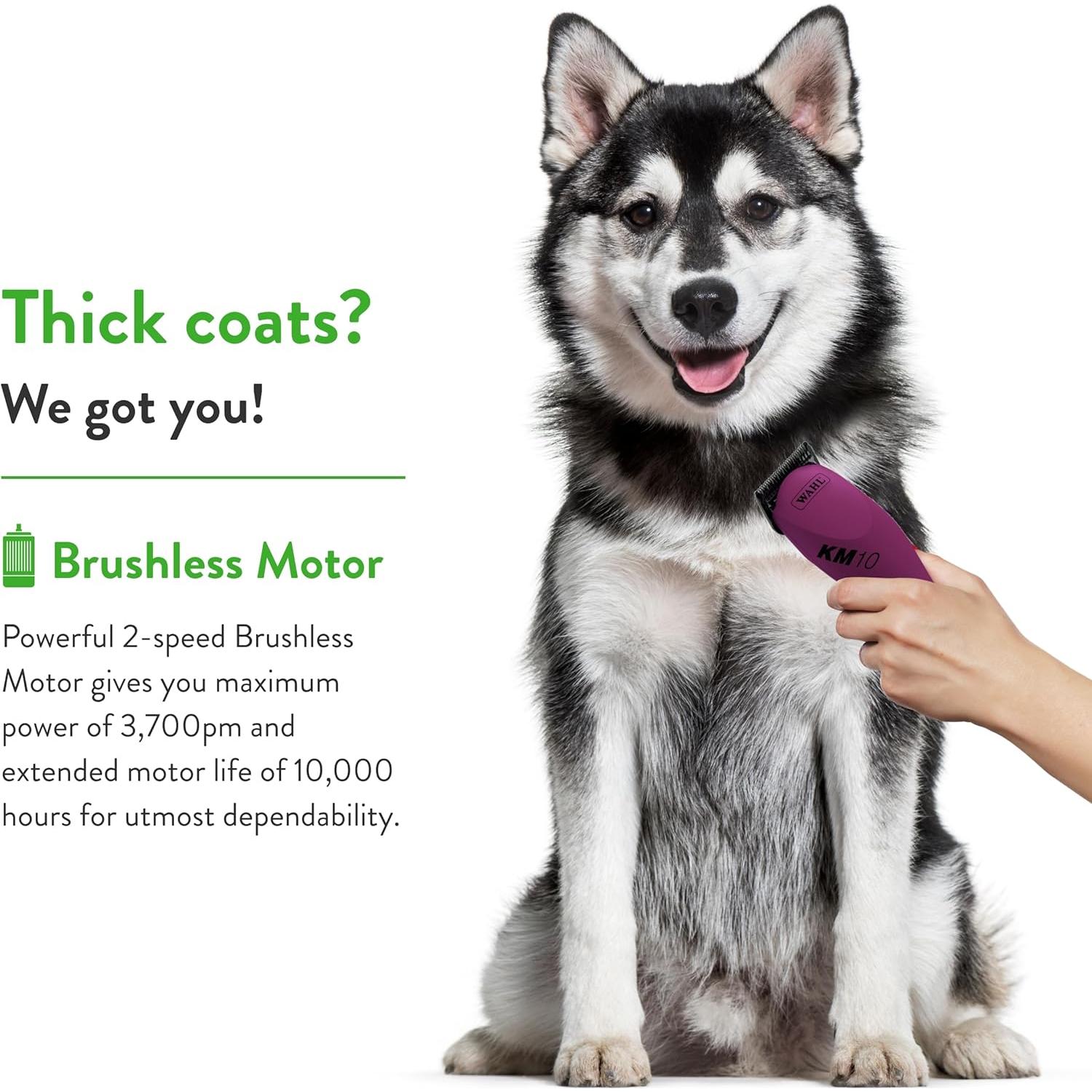 Cortadora de Pelo para Mascotas Wahl KM10 Berry 2 Velocidades