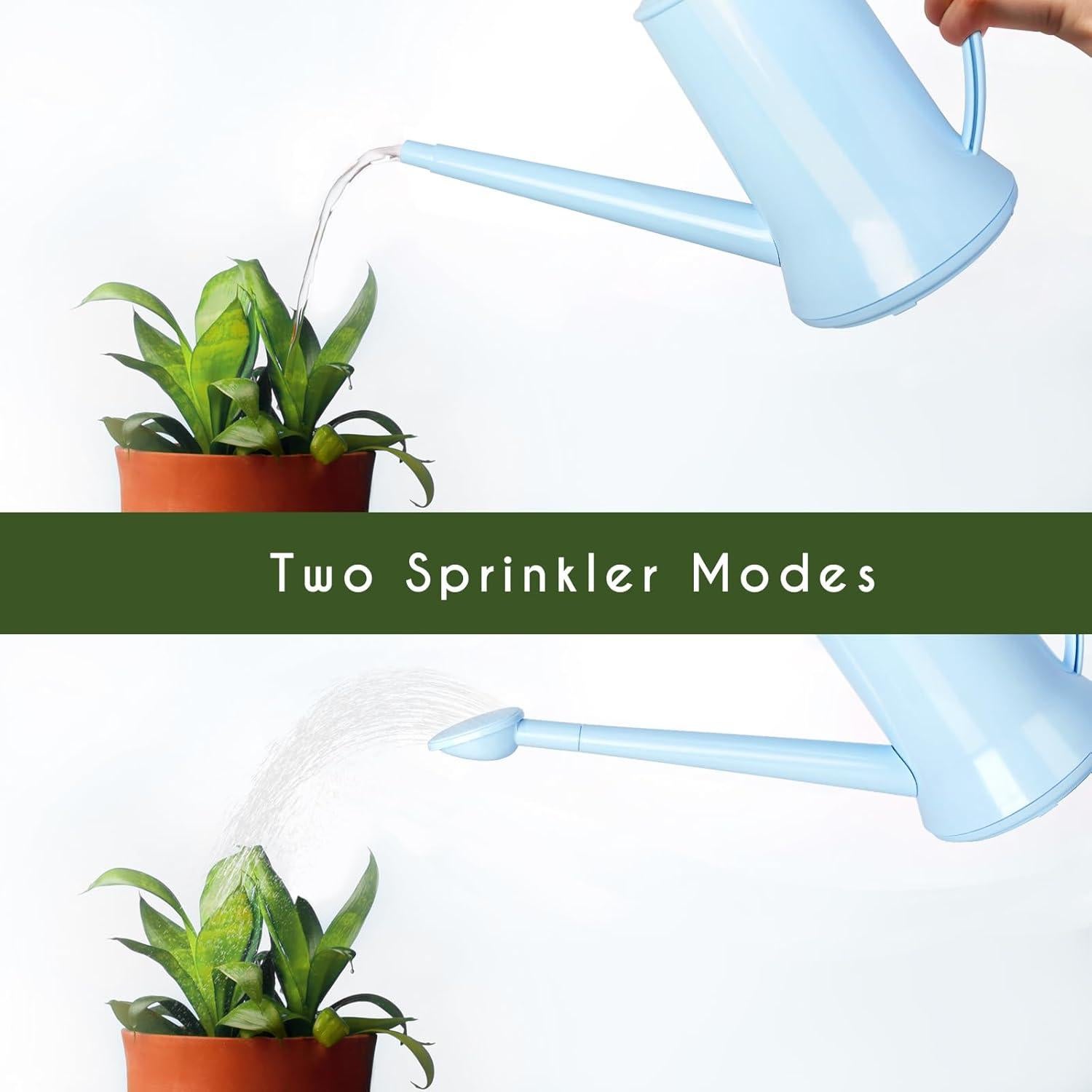 Regadera de Interior XXXFLOWER 2L Pico Largo Desmontable Azul