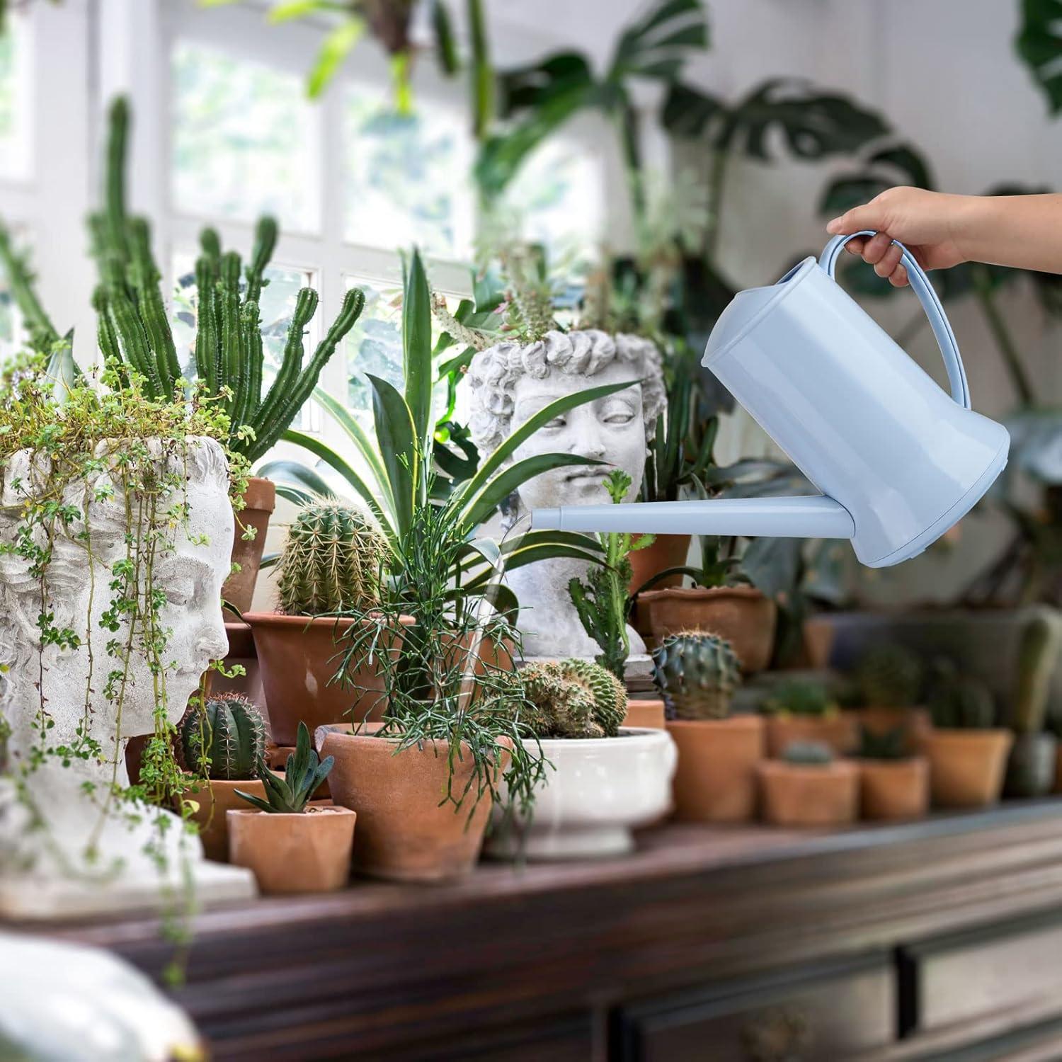 Regadera de Interior XXXFLOWER 2L Pico Largo Desmontable Azul