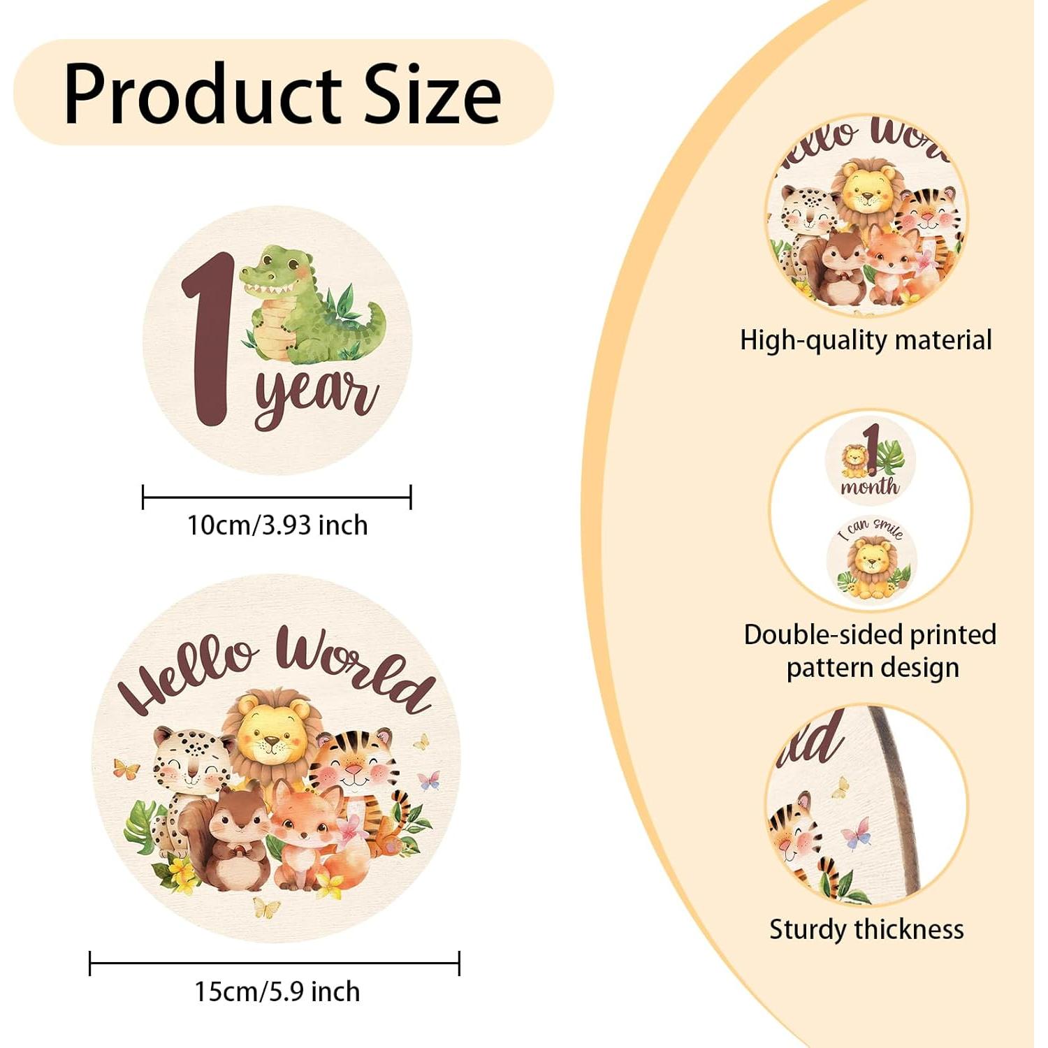 Tarjetas de Hitos Mensuales Bebé - 13 Discos de Madera Animales