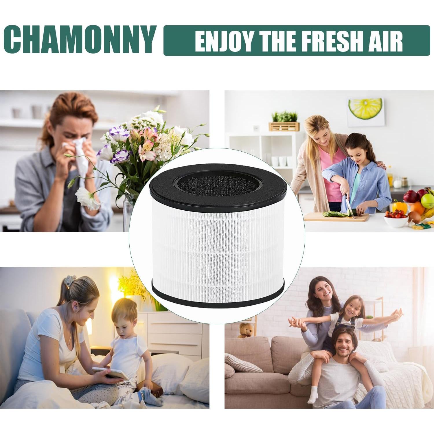 Filtro HEPA Verdadero CHAMONNY para Purificador Coway Airmega 100 - Paquete de 2