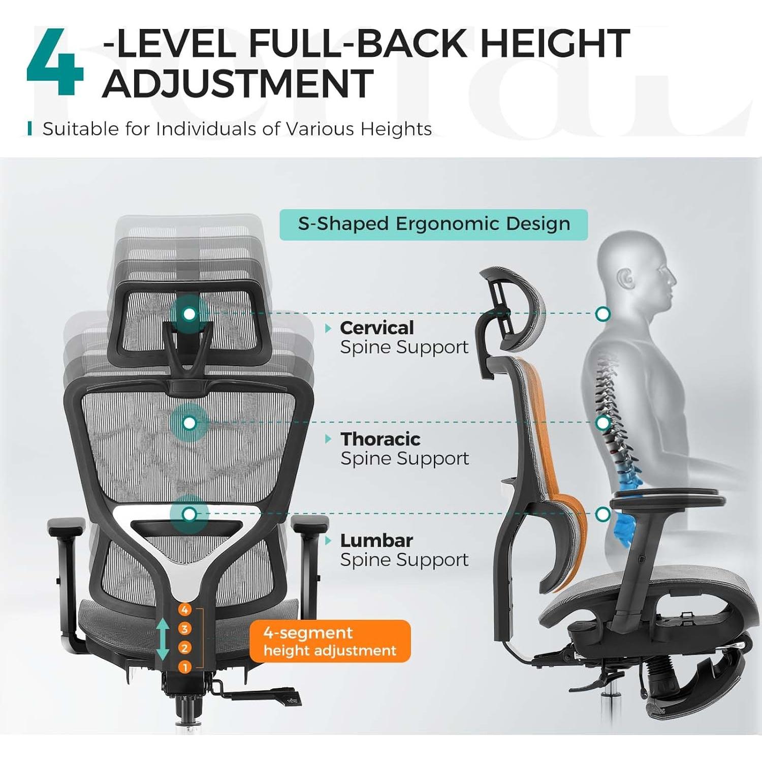 Silla de Oficina Ergonómica Ferral Elite con Soporte Lumbar