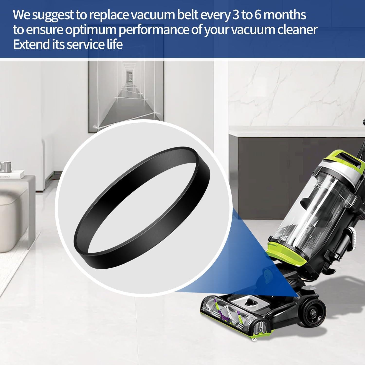 Cinturón de Reemplazo Bissell 3031120 para Aspiradora - 2 Piezas