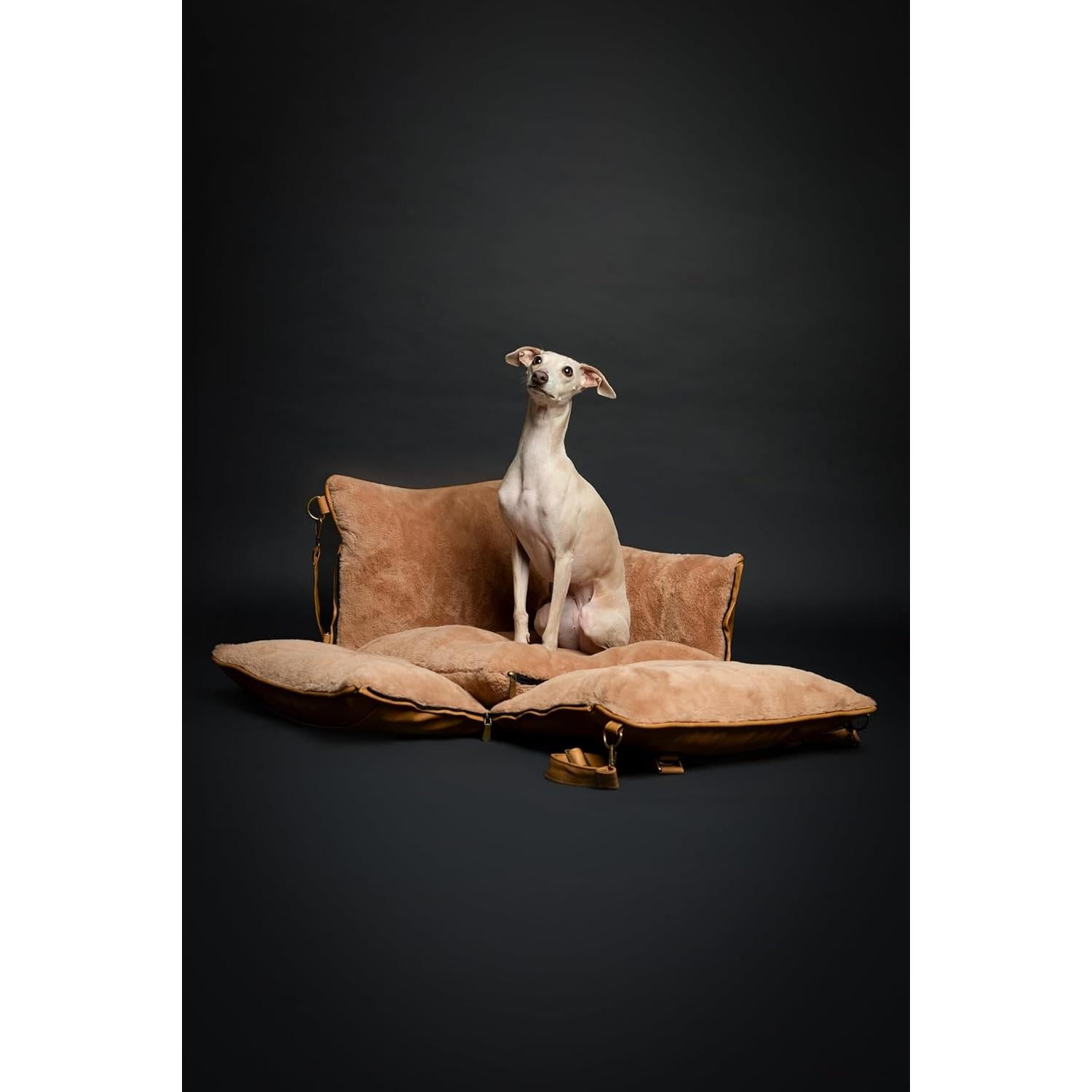 Asiento Elevador para Perros Noah & Paw Mediano Camel