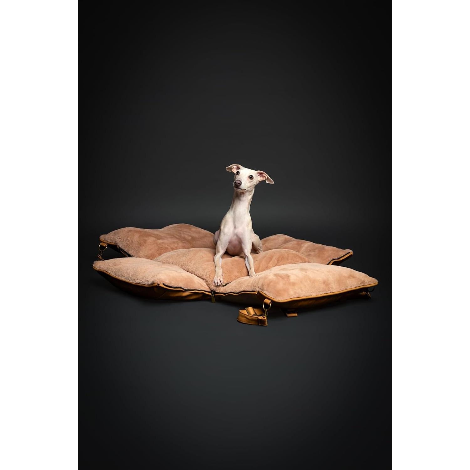 Asiento Elevador para Perros Noah & Paw Mediano Camel