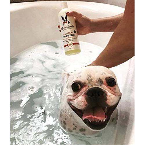 Champú para Perros Warren London Avena 3.78L Alivio Picazón