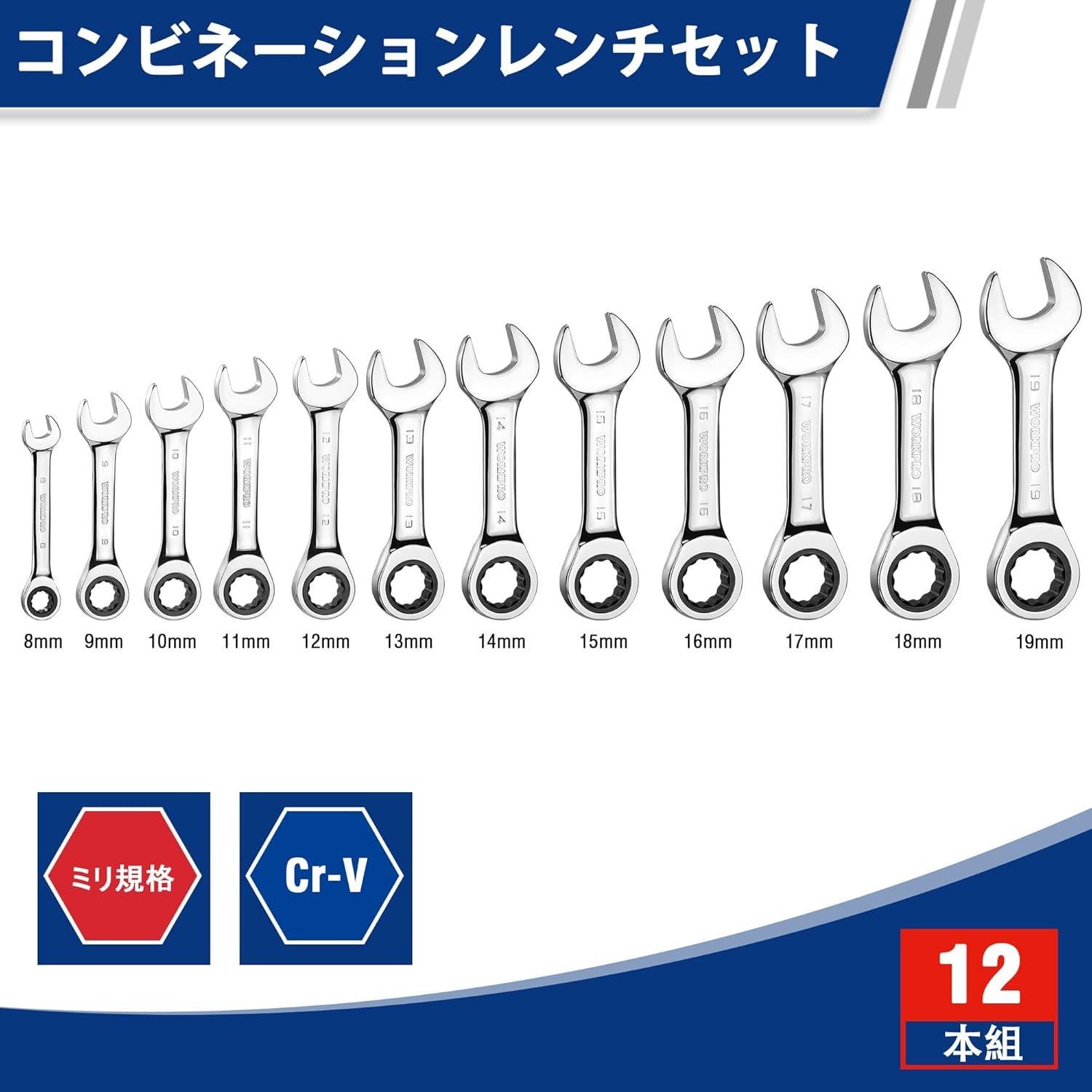 Juego de Llaves de Vaso 12 Piezas WORKPRO 8-19mm Trinquete