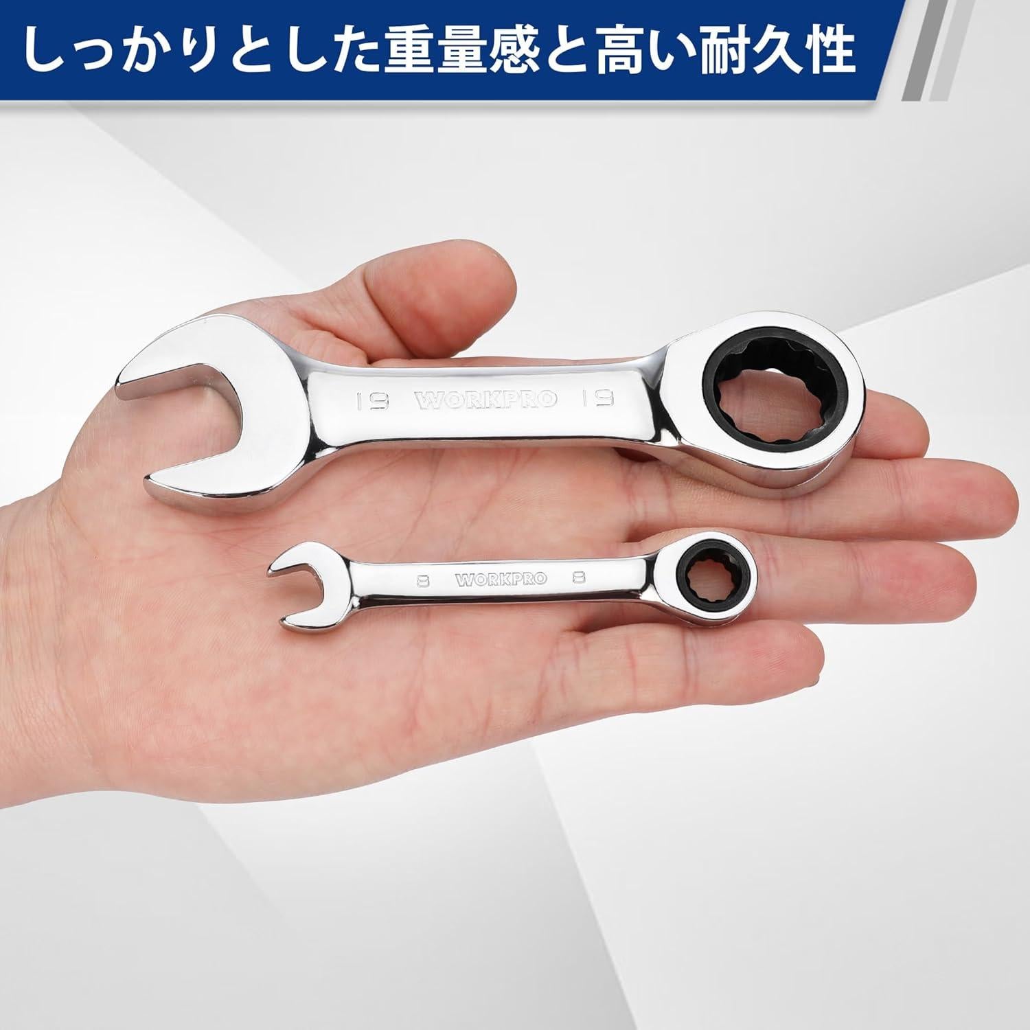 Juego de Llaves de Vaso 12 Piezas WORKPRO 8-19mm Trinquete