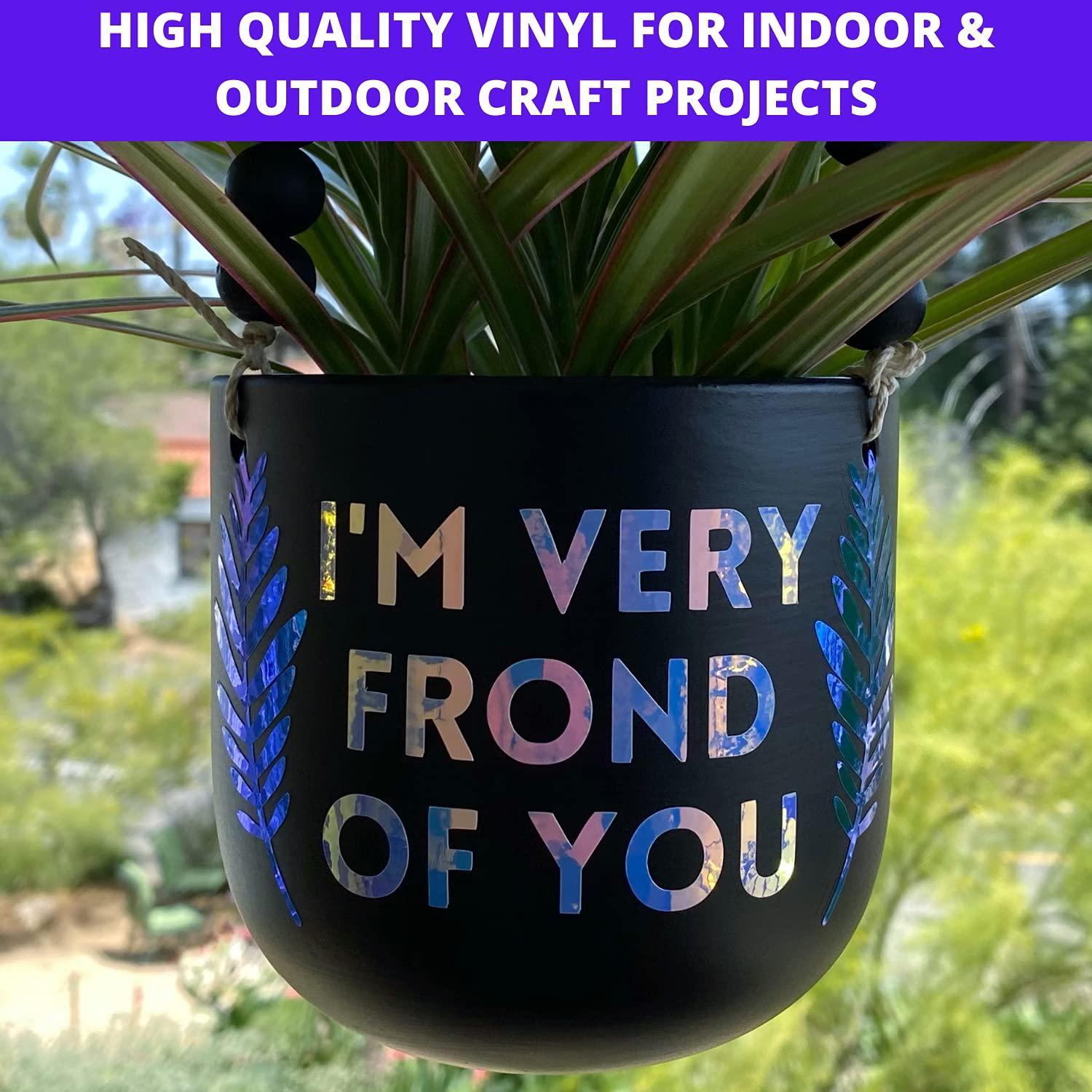 Paquete de 10 Hojas de Vinilo Holográfico Kassa 30.48 cm