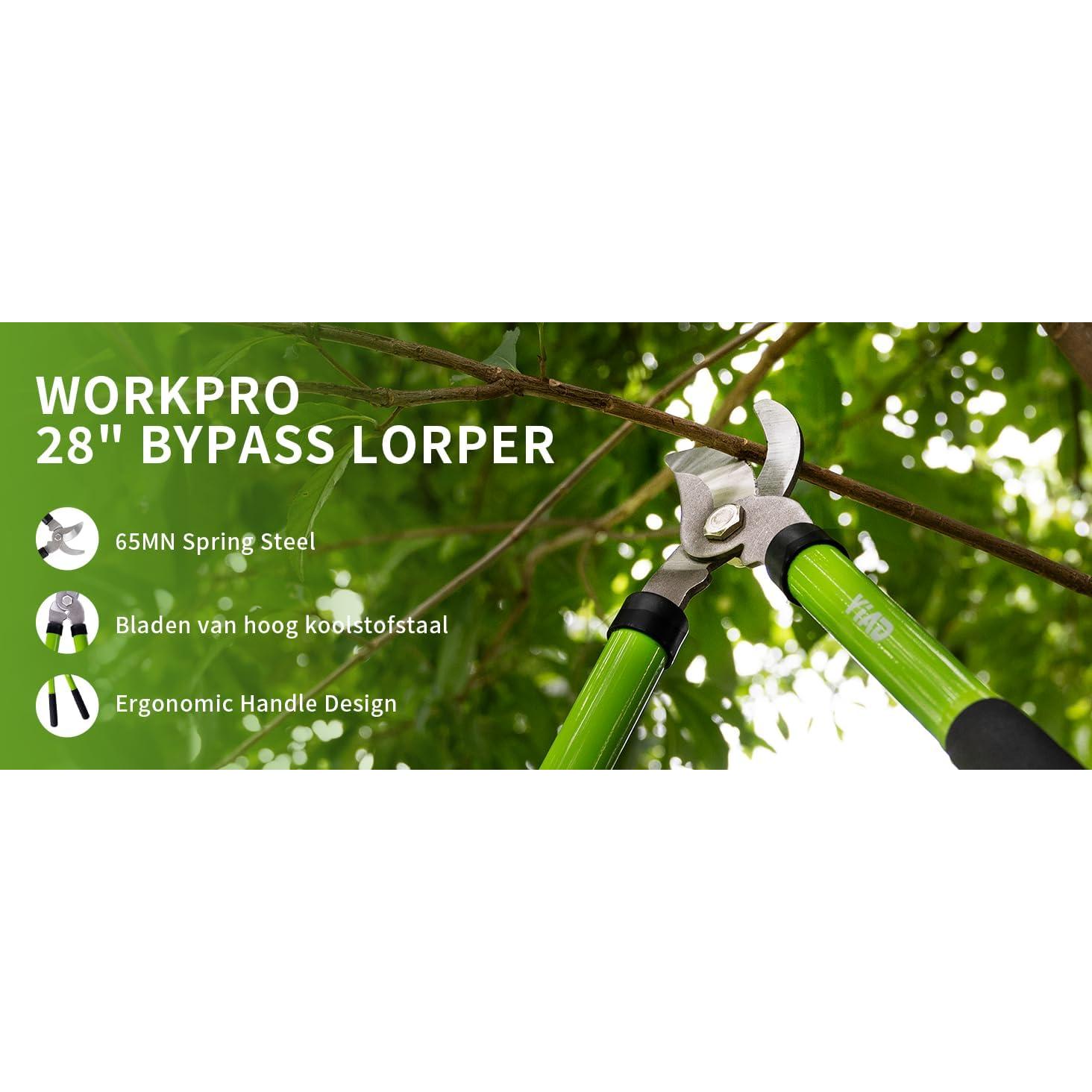 Set de Tijeras de Jardín YIAD DRAGON HORSE - Podadoras de Alta Resistencia