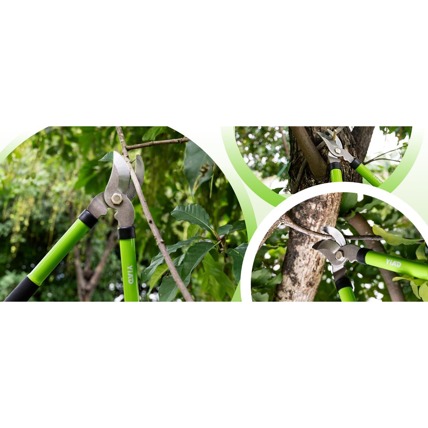 Set de Tijeras de Jardín YIAD DRAGON HORSE - Podadoras de Alta Resistencia