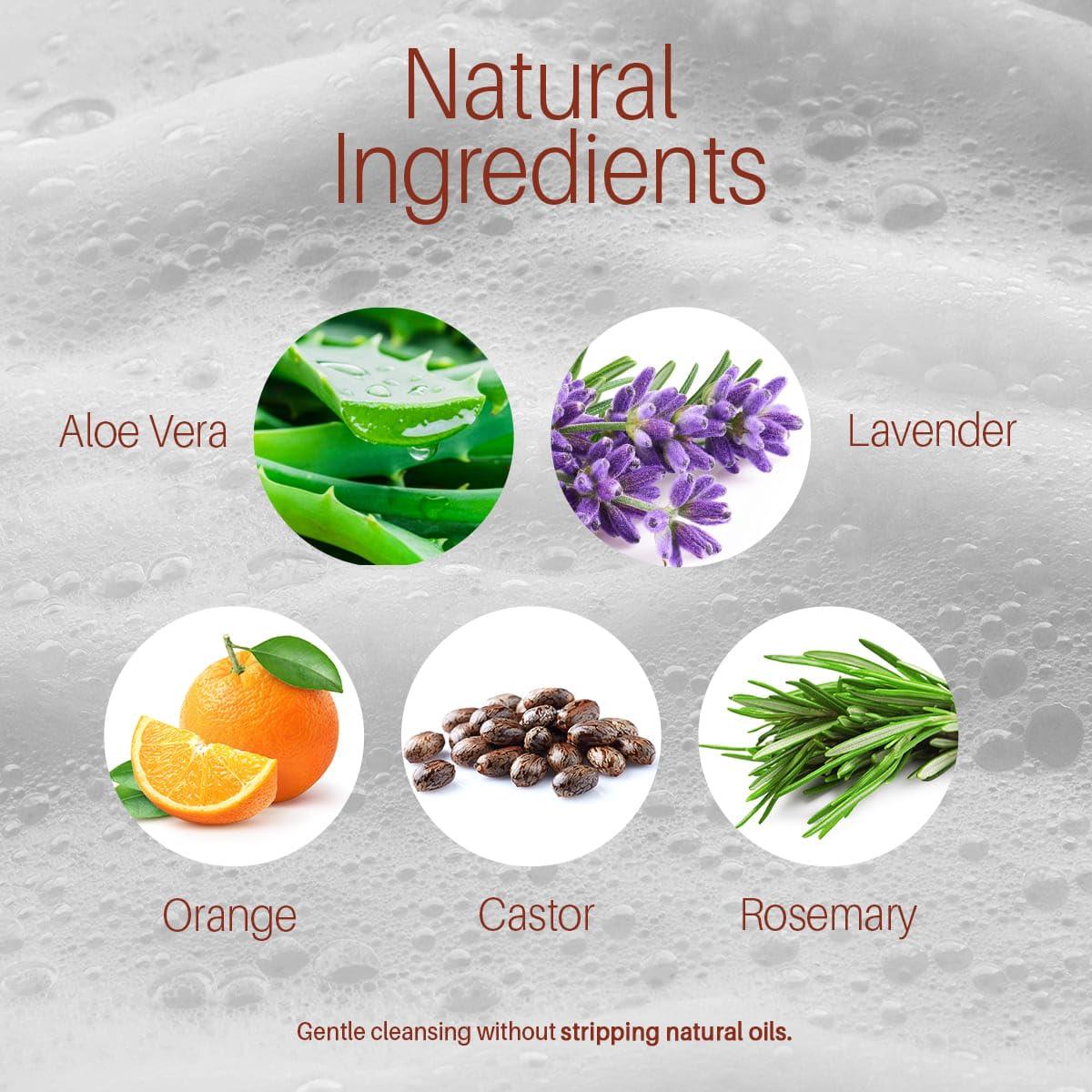 Champú y Acondicionador MYSTÉRE BEAUTÉ Aceite de Ricino 454g