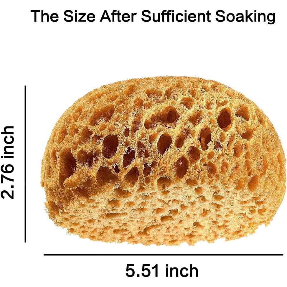 Esponja de Textura Knockdown Binstree 13.97x11.68x6.60 cm