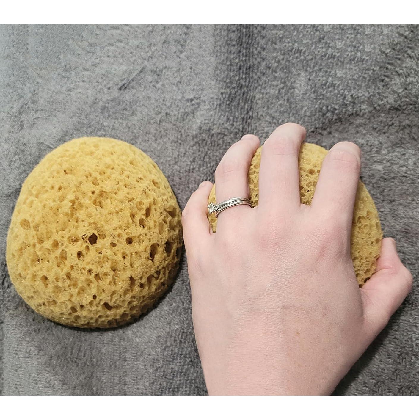 Esponja de Textura Knockdown Binstree 13.97x11.68x6.60 cm