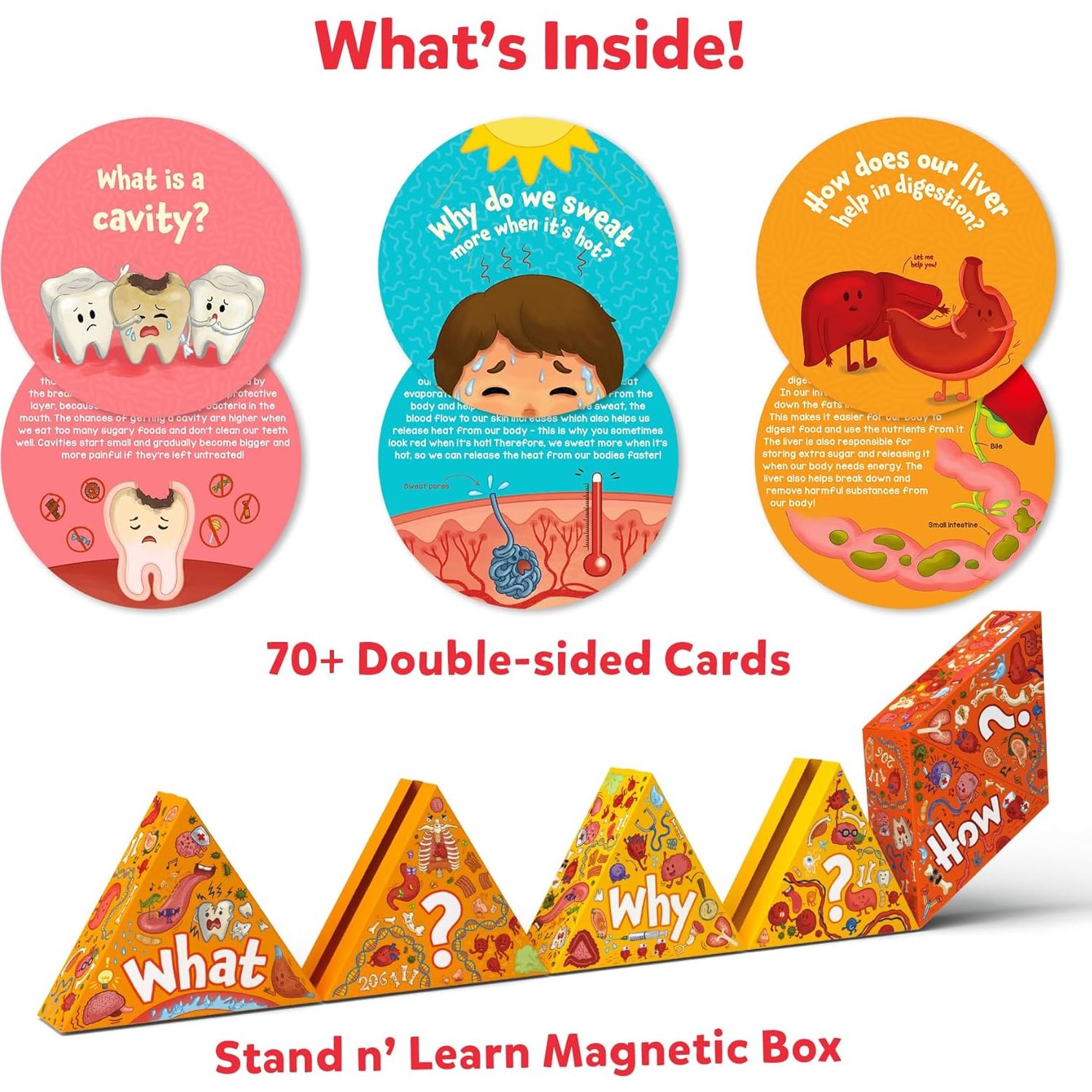 Tarjetas Flash Skillmatics El Cuerpo Humano - 70 Piezas Educativas