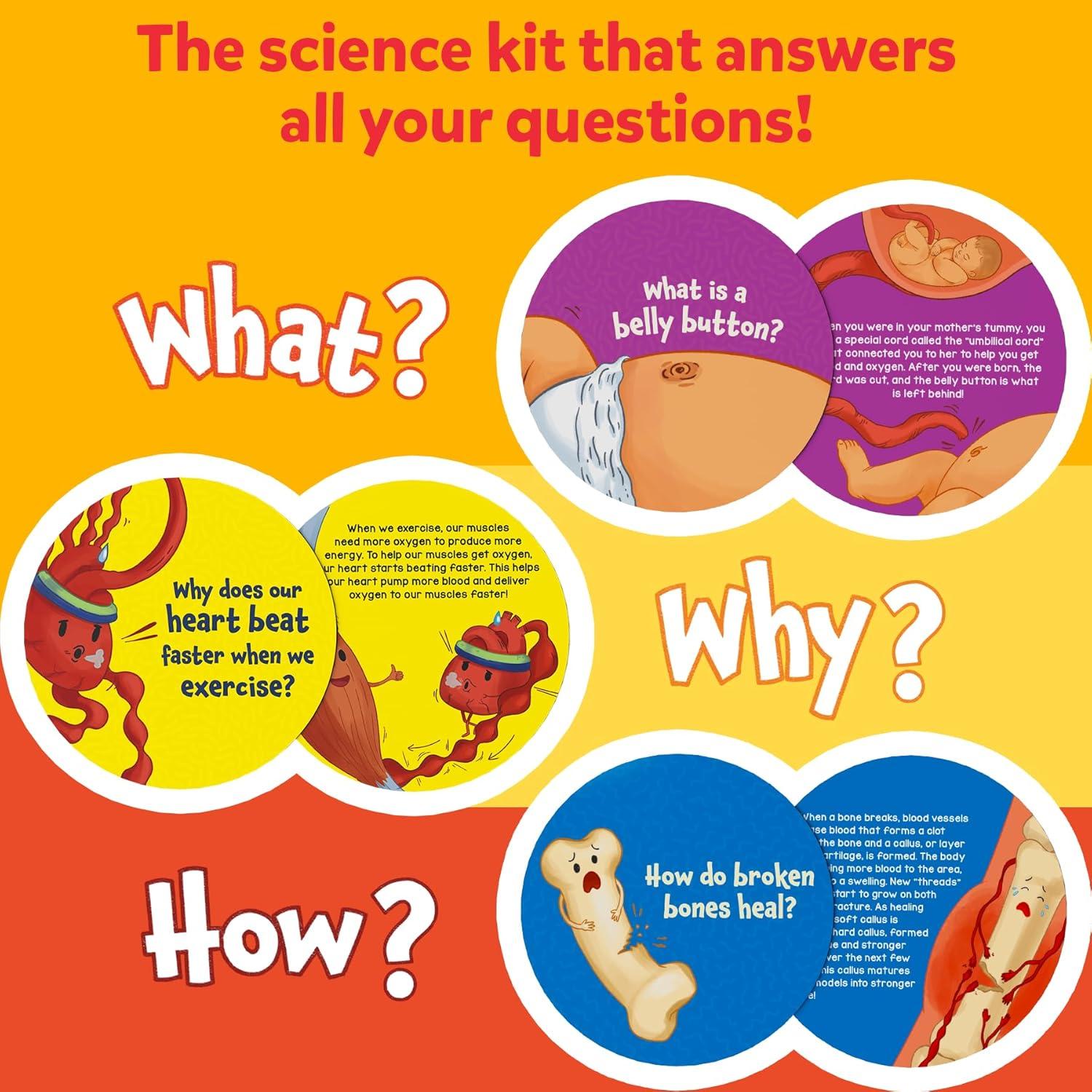 Tarjetas Flash Skillmatics El Cuerpo Humano - 70 Piezas Educativas