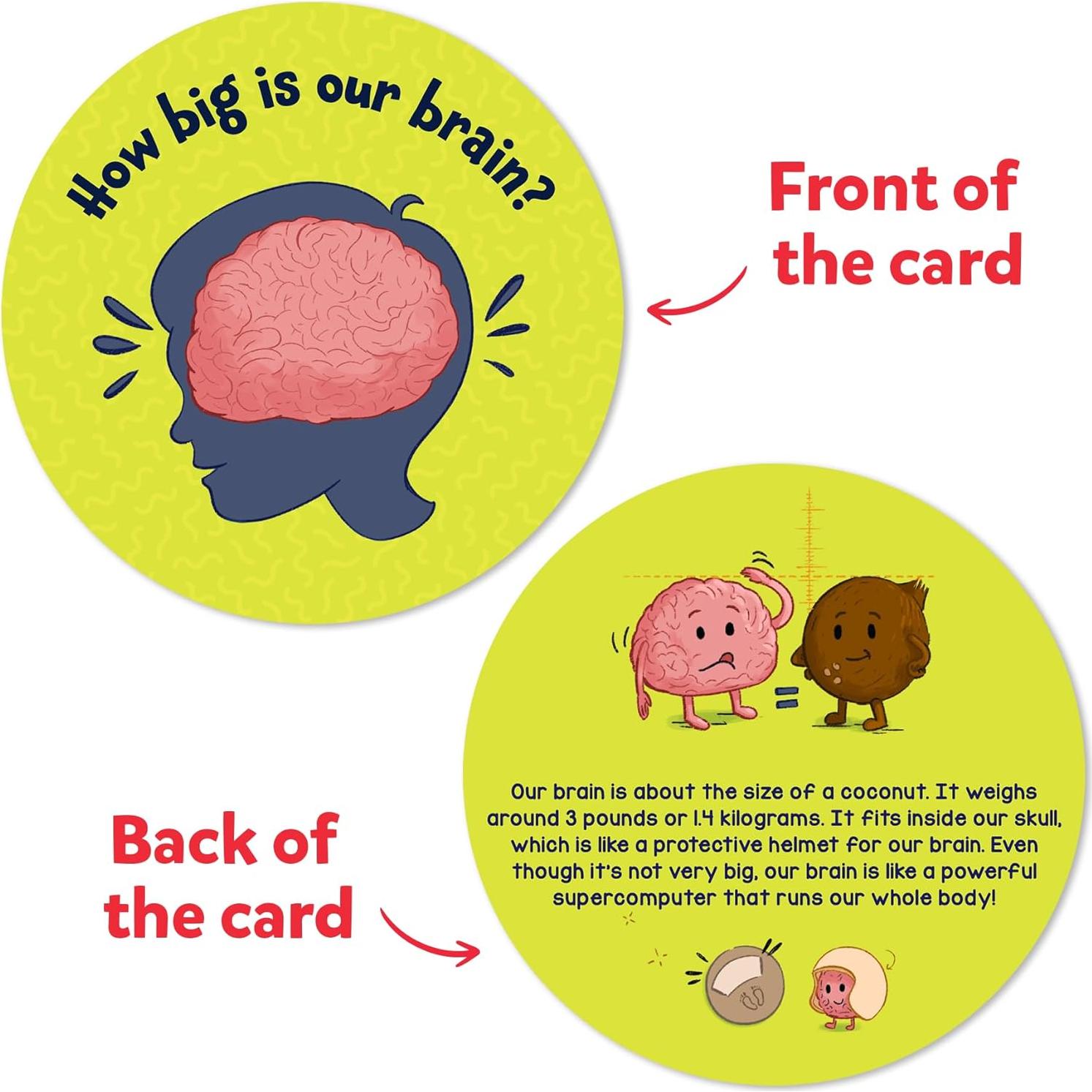 Tarjetas Flash Skillmatics El Cuerpo Humano - 70 Piezas Educativas