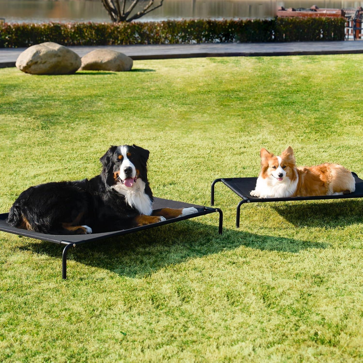 Cama Elevada para Perros EHEYCIGA Mediana 89x56 cm Impermeable