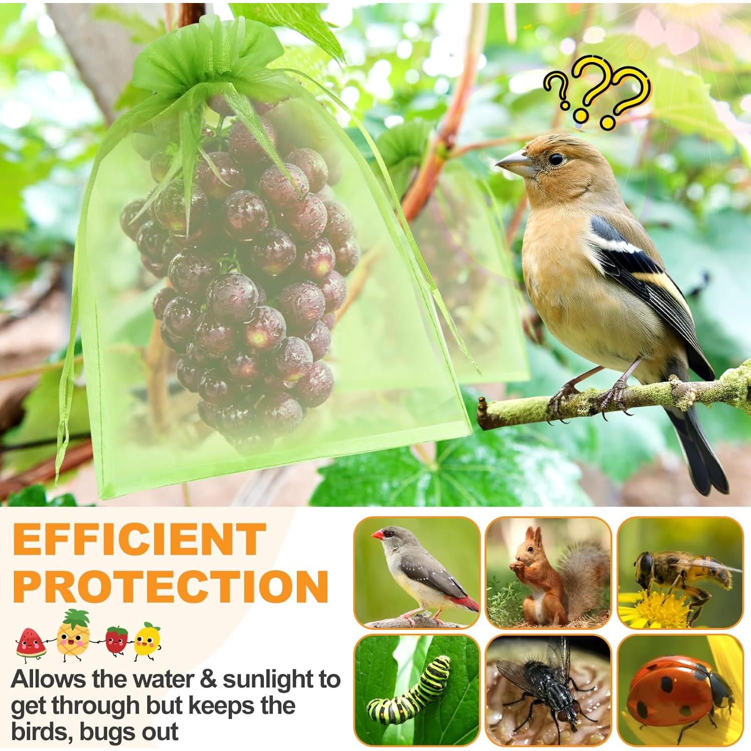 Bolsas de Protección para Frutas DQS 50pcs 15x20 cm Organza Verde