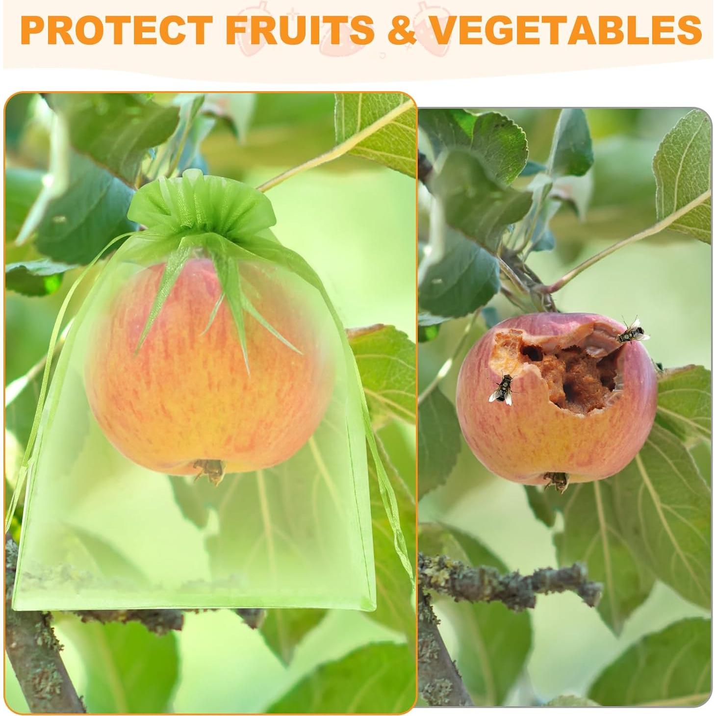 Bolsas de Protección para Frutas DQS 50pcs 15x20 cm Organza Verde