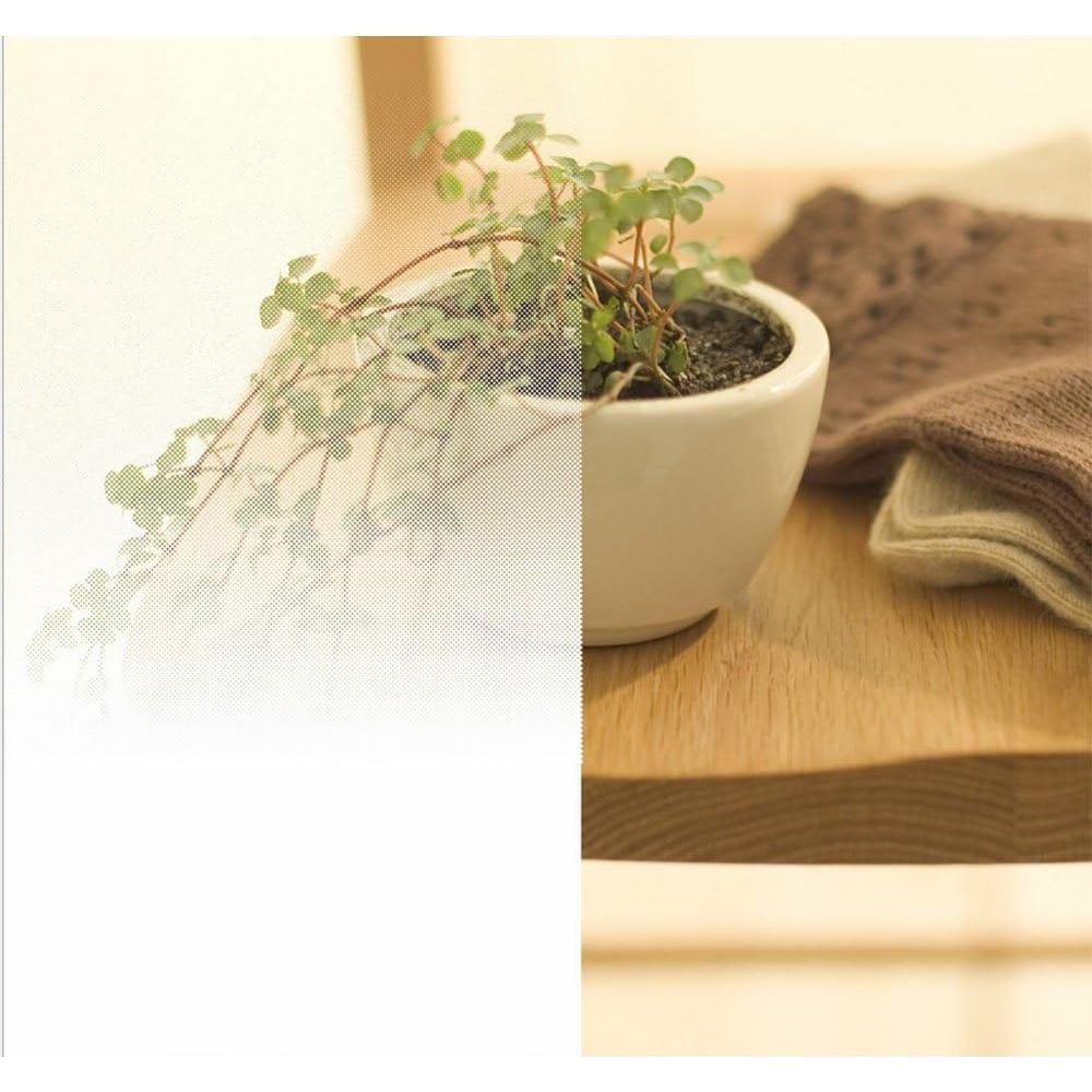 Rollo Película de Ventana HOHOFILM 1.52m x 0.97m Semi-Privacidad