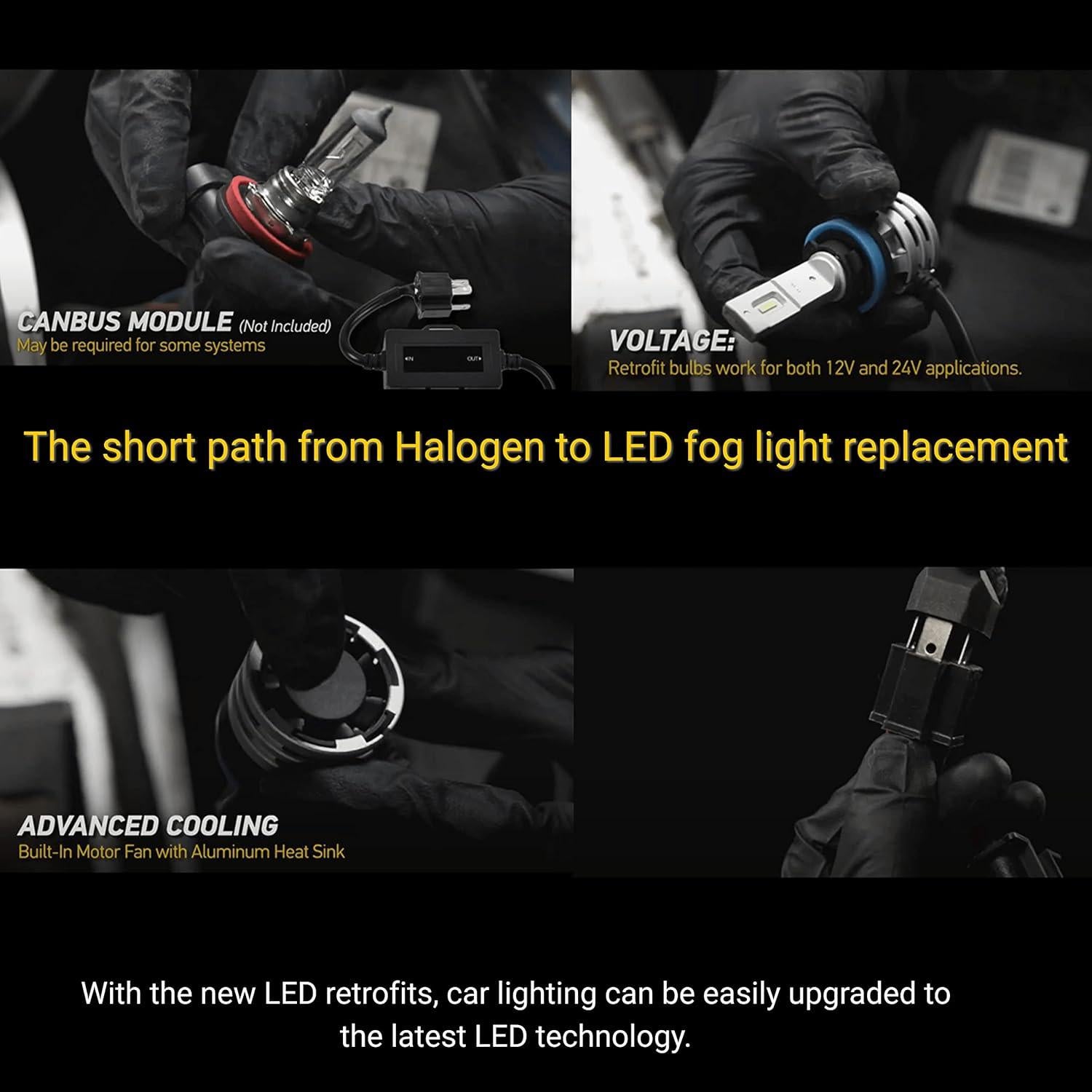 Bombillas LED Hella H3 Luz de Niebla 6500K - Paquete de 2