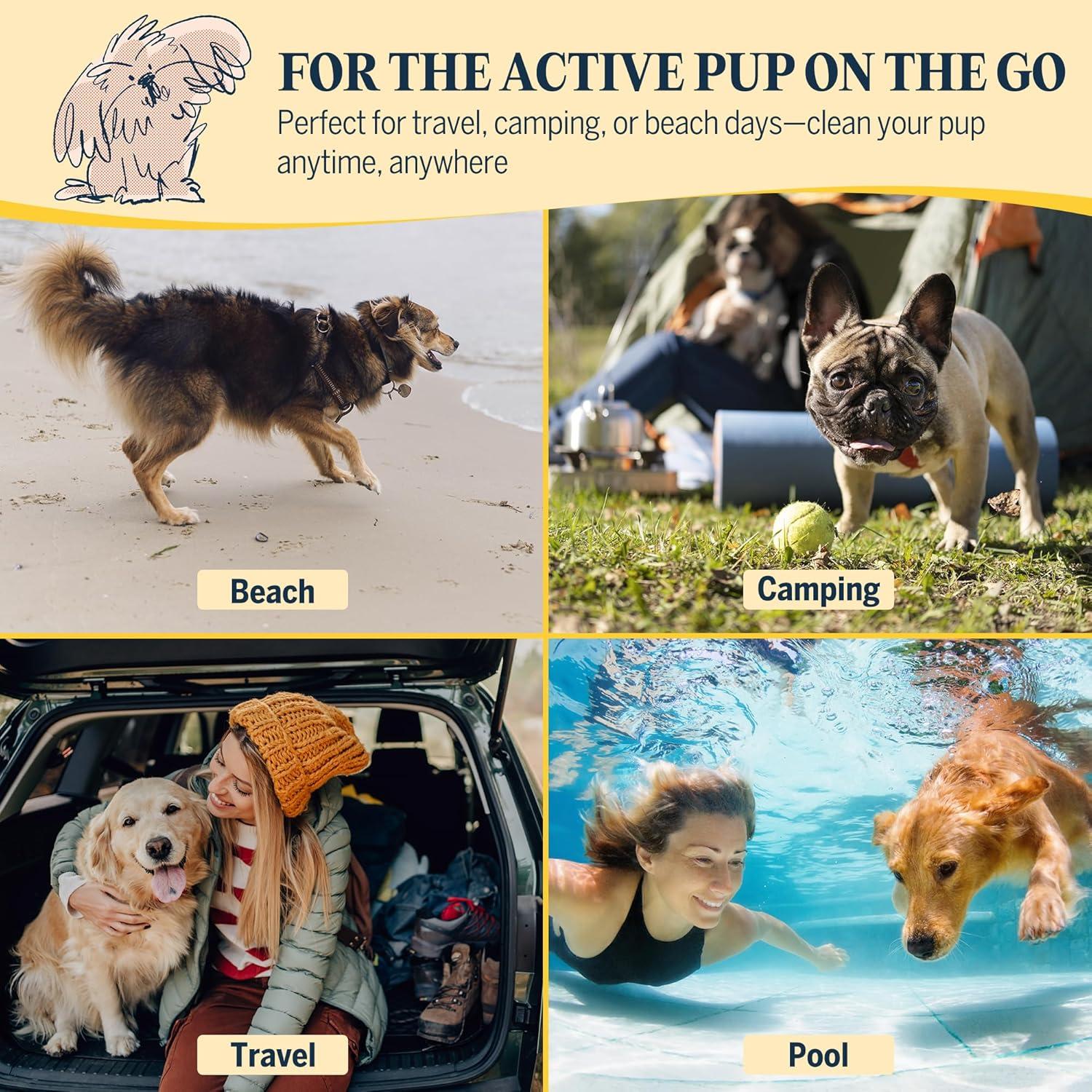 Champú Seco para Perros FlyDog Clean and Floofy 198 ml - Sin Enjuague, Anti-picazón, Control de Olores