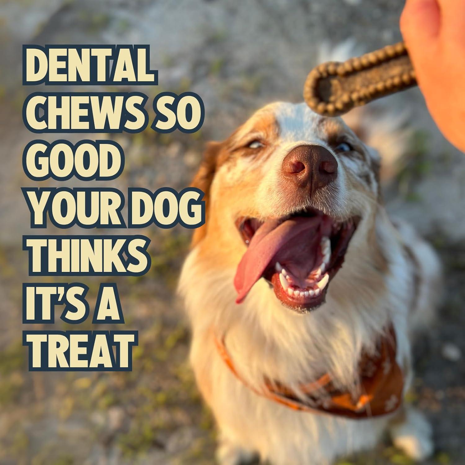 Masticables Dentales Jiminy para Perros Pequeños Sabor Canela 20ct