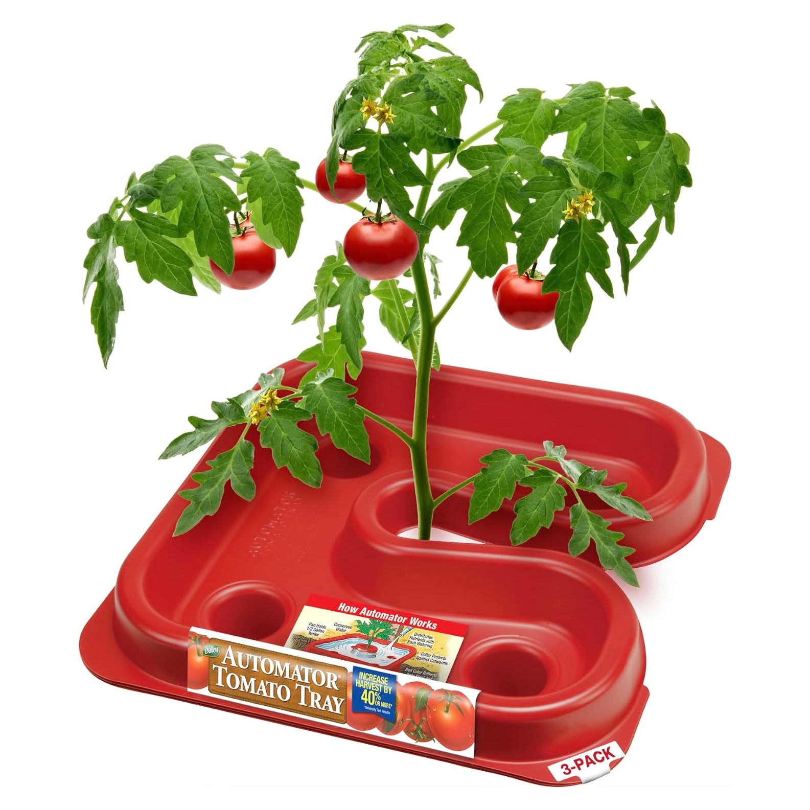 Bandeja de Tomate Dalen Gardeneer - 30.48x30.48 cm - Paquete de 3