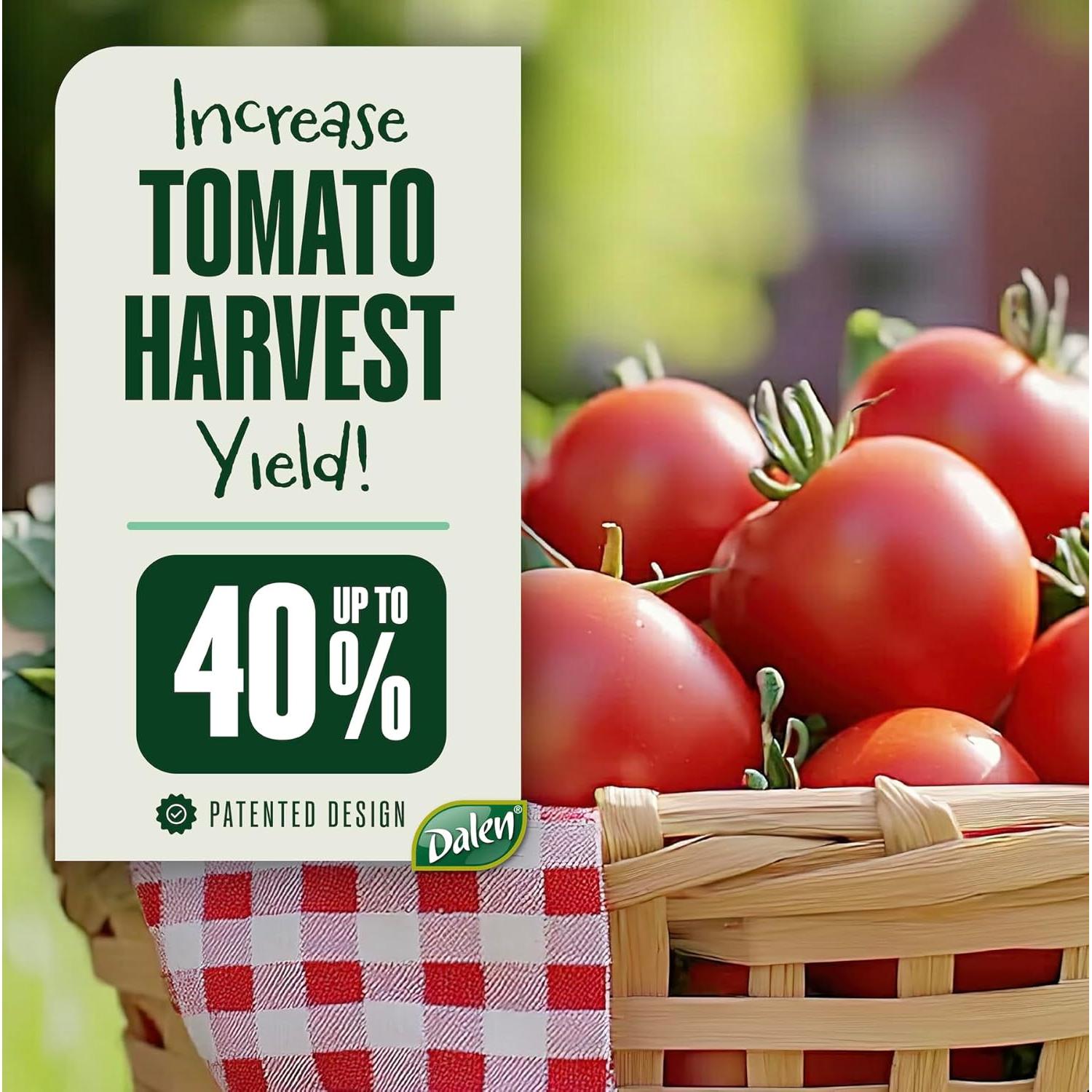 Bandeja de Tomate Dalen Gardeneer - 30.48x30.48 cm - Paquete de 3