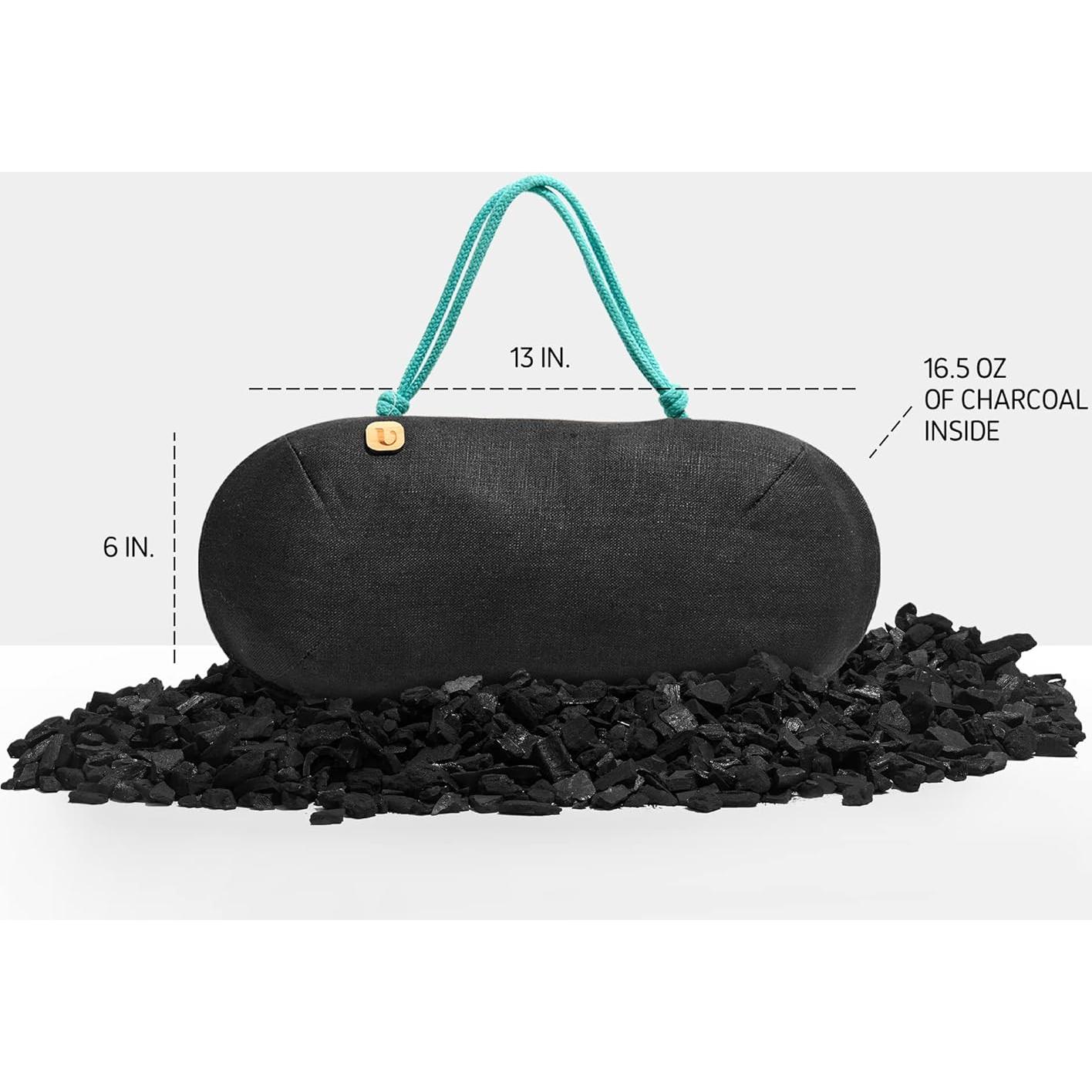 Ambientador de Auto PURGGO 100% Carbón de Bambú Sin Químicos