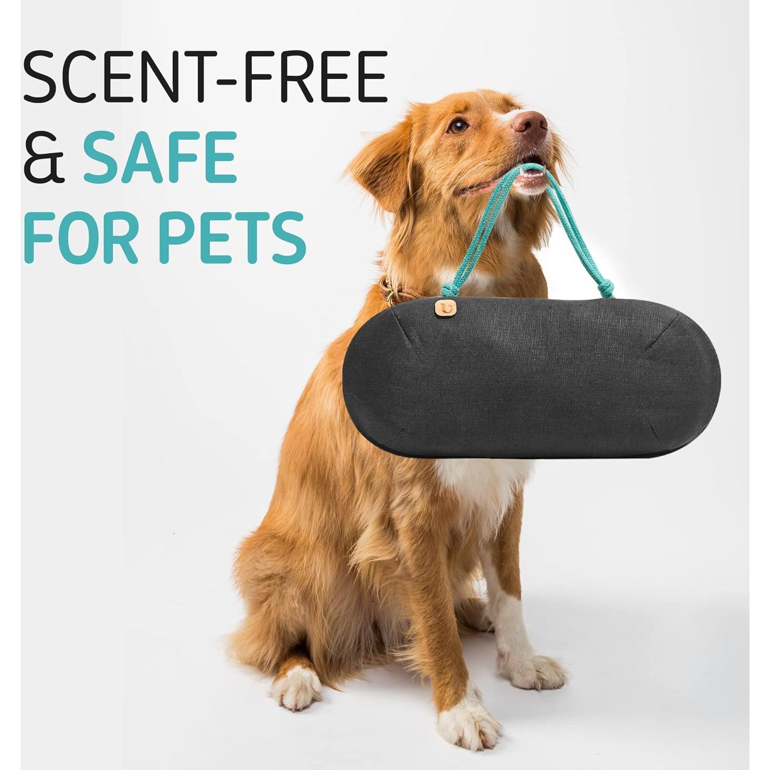 Ambientador de Auto PURGGO 100% Carbón de Bambú Sin Químicos