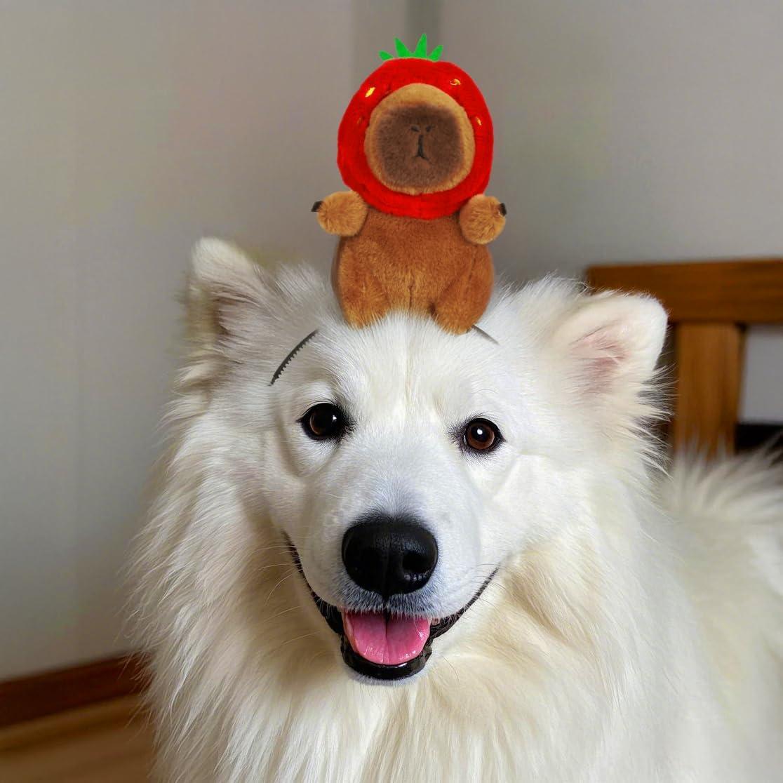 Diadema de Peluche Capibara JEGERMIG 16cm Color Fresa