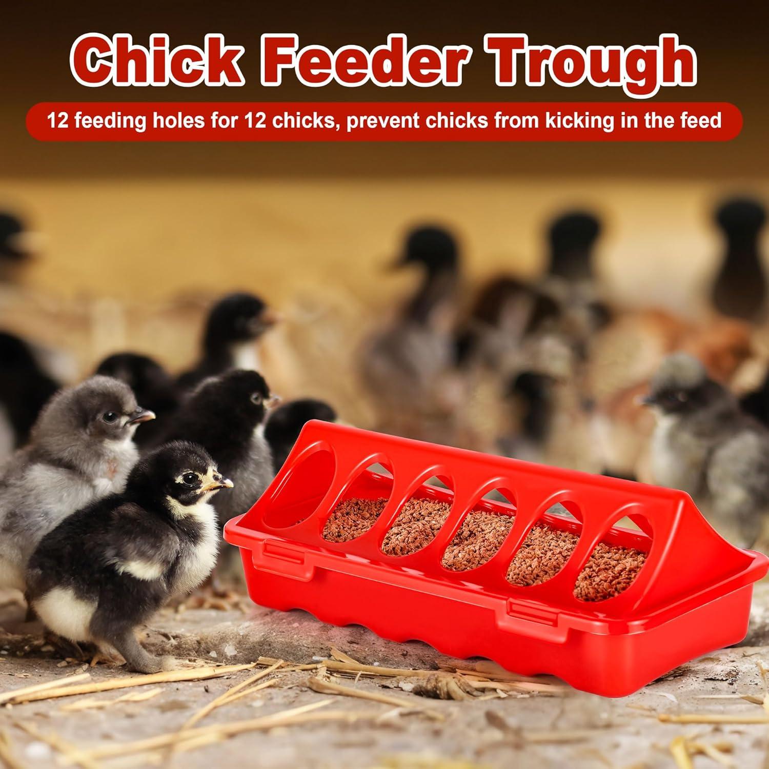 Kit de Cría para Pollitos POMINEL - Comedero, Bebedero y Perchero