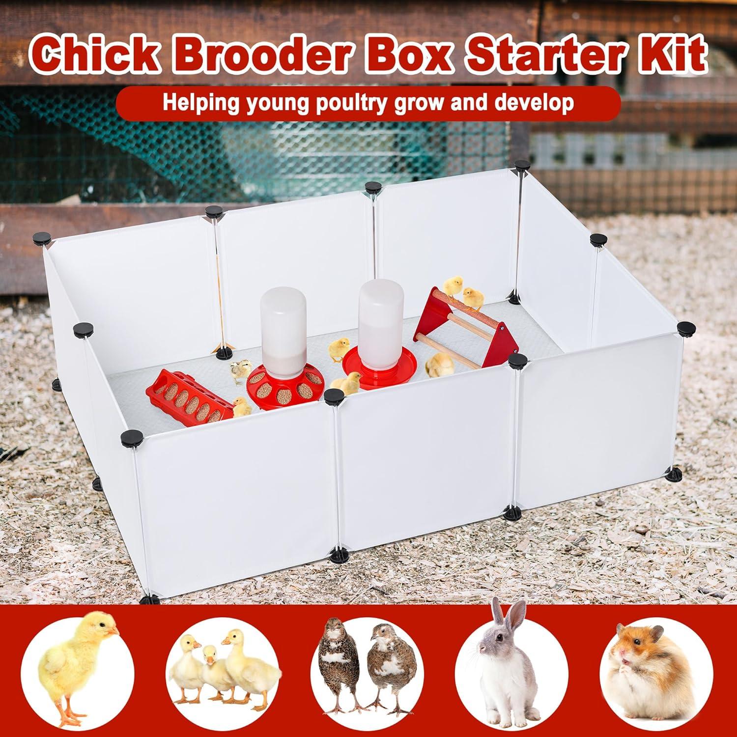 Kit de Cría para Pollitos POMINEL - Comedero, Bebedero y Perchero