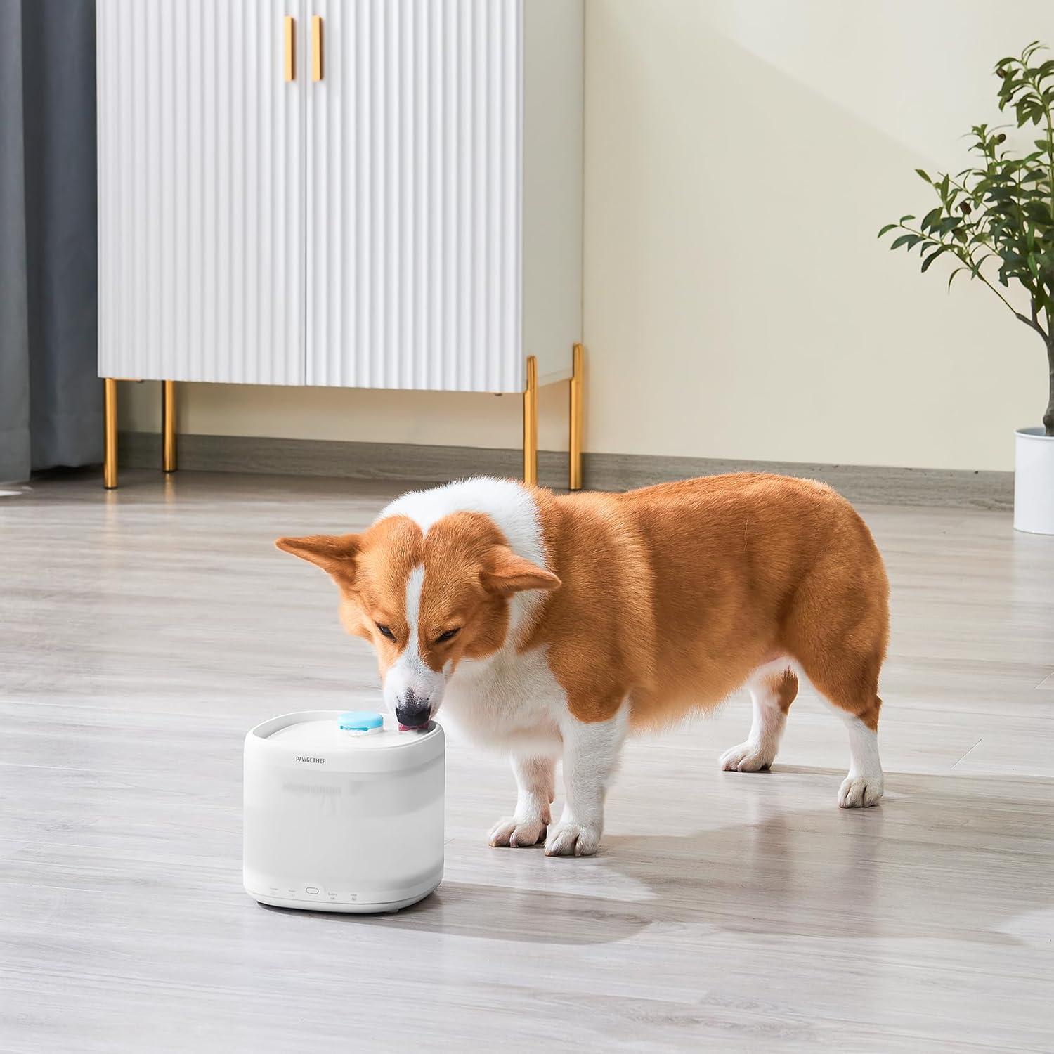 Filtro de Agua para Gatos PAWGETHER 3 Piezas 67oz/2L