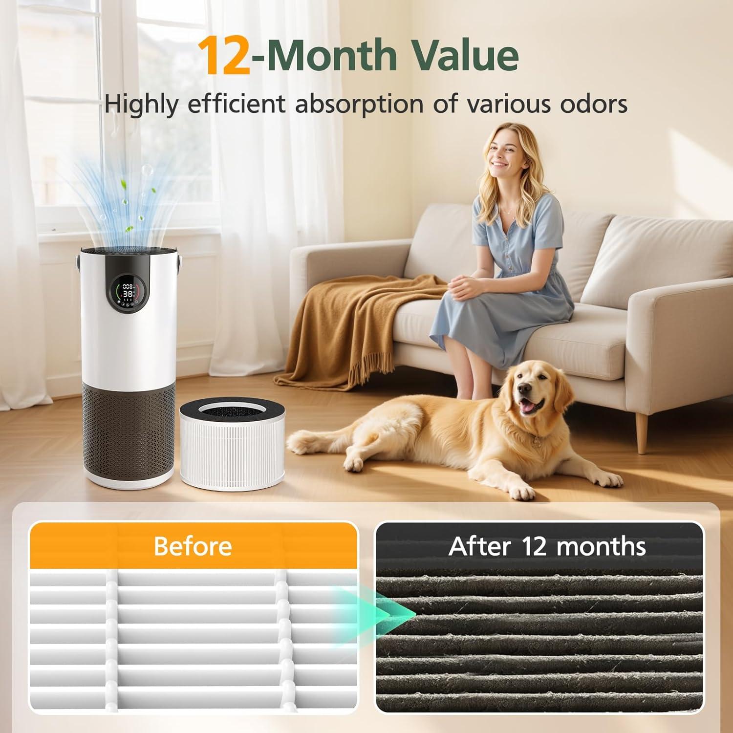 Filtro HEPA AP-H400 para Purificador Homedics - Paquete de 2